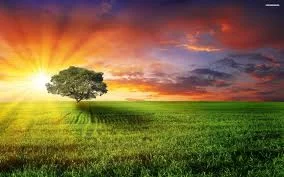 oaksunset.jpg