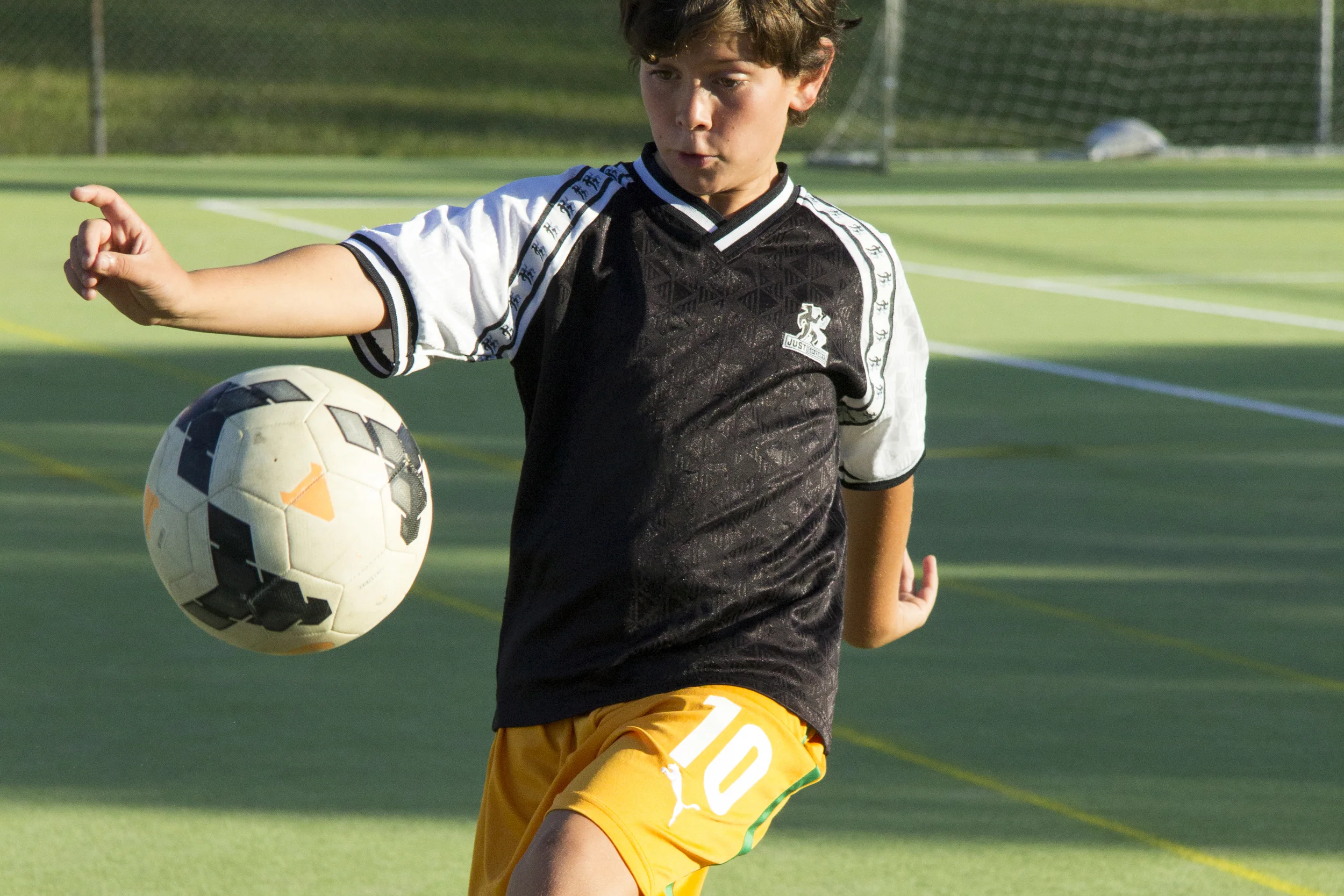 image5.jpg