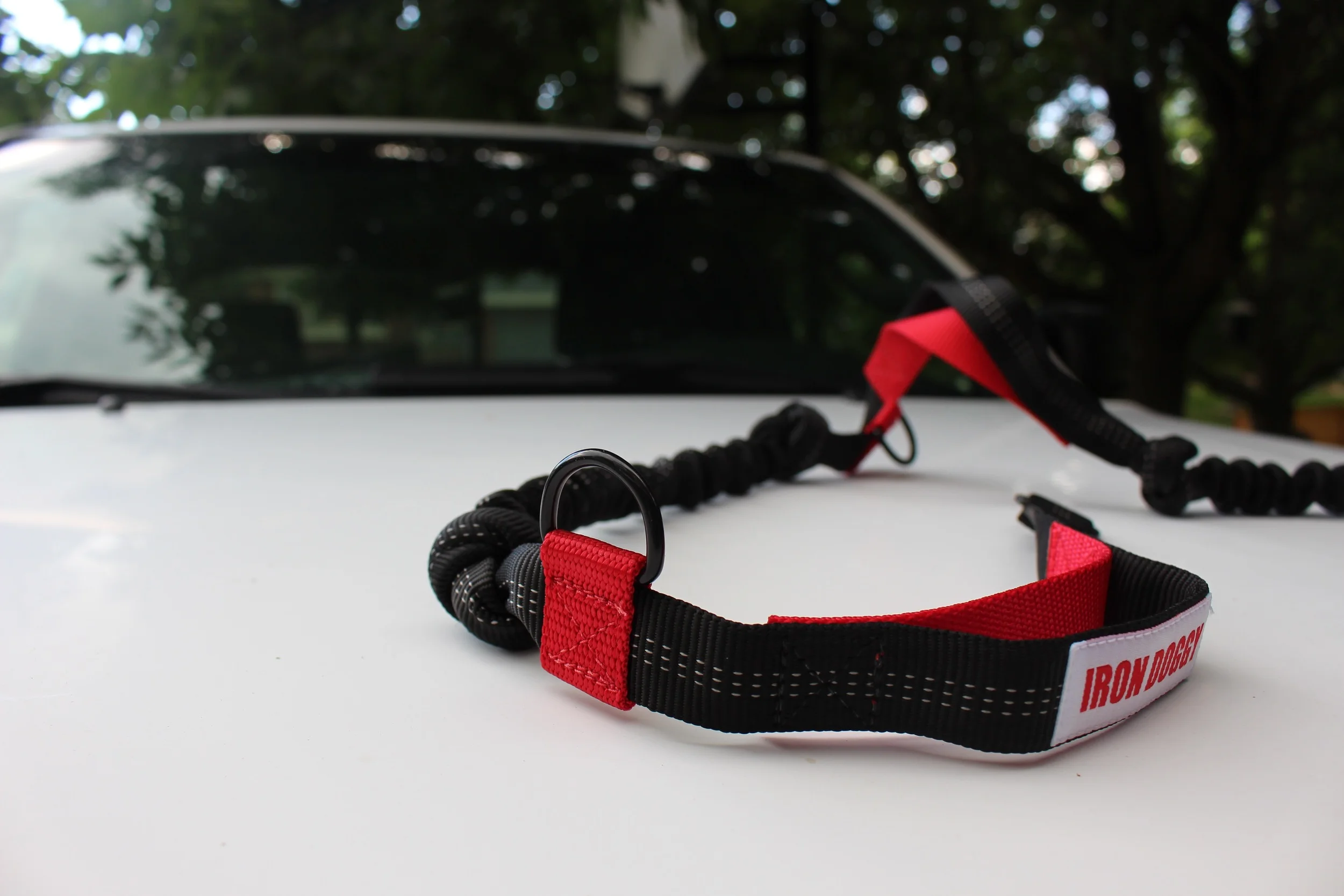 Iron Doggy Runner's Choice Hands Free Leash Review 