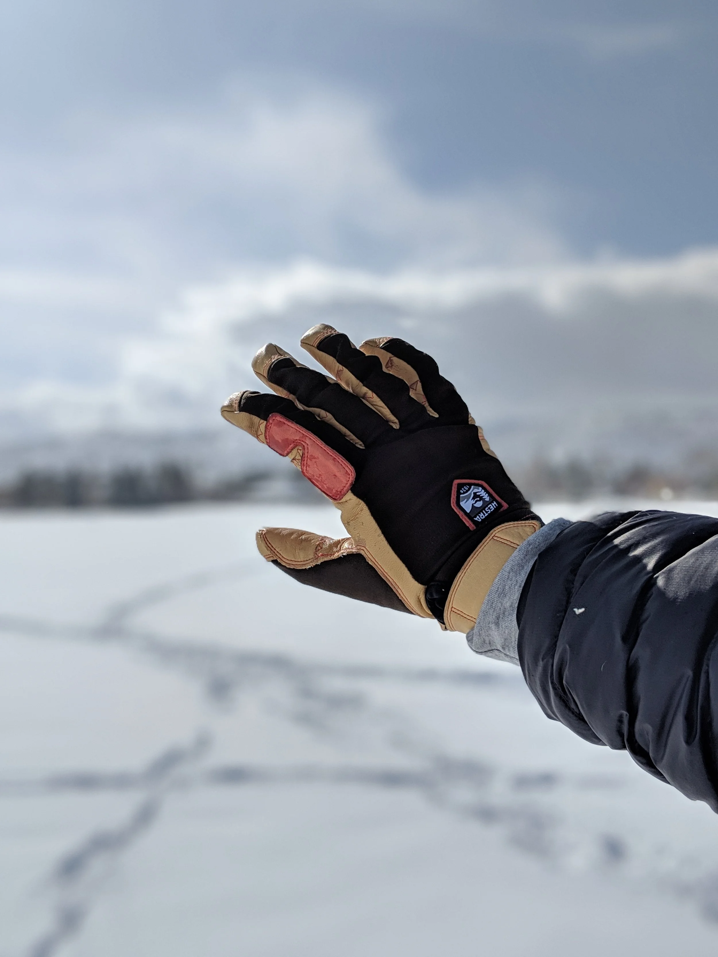 Hestra Ergo Grip Active Glove Review 