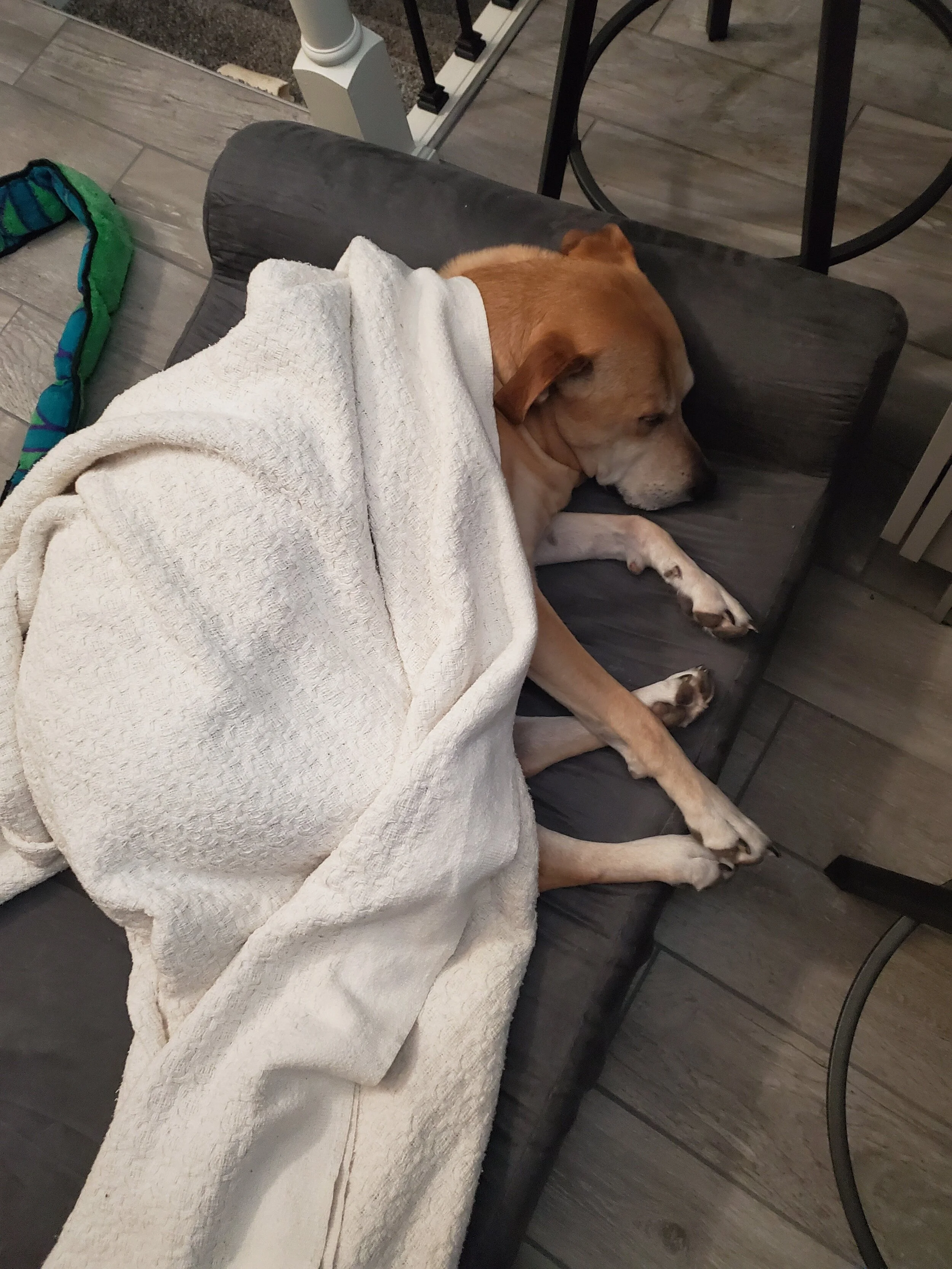 20191211_220335.jpg