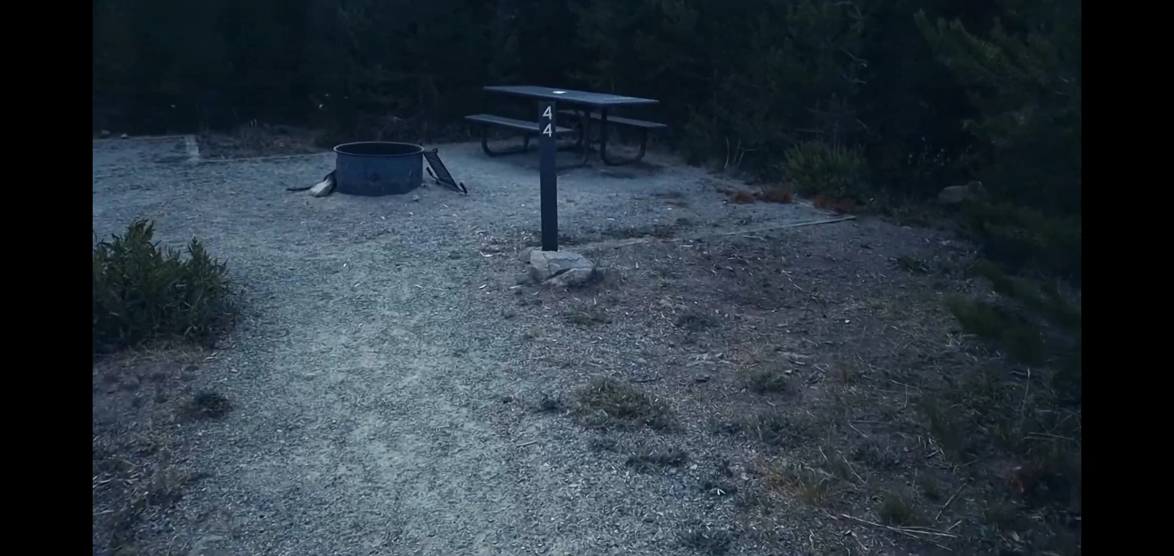 Screenshot_20200806-091819_YouTube.jpg