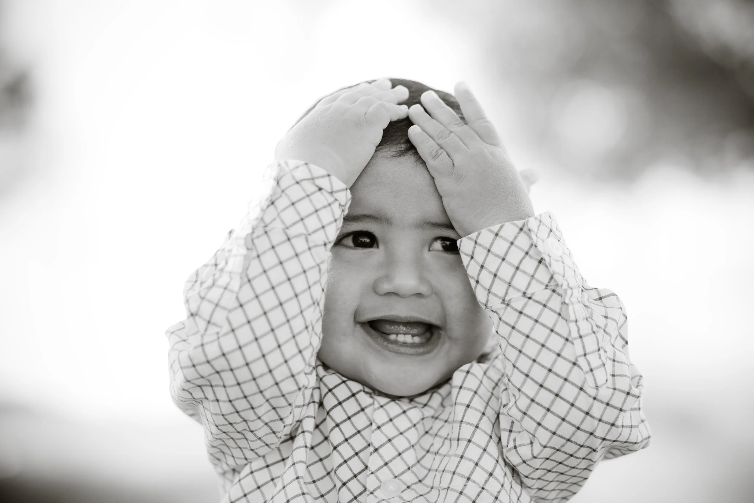 TRS-3062.jpg