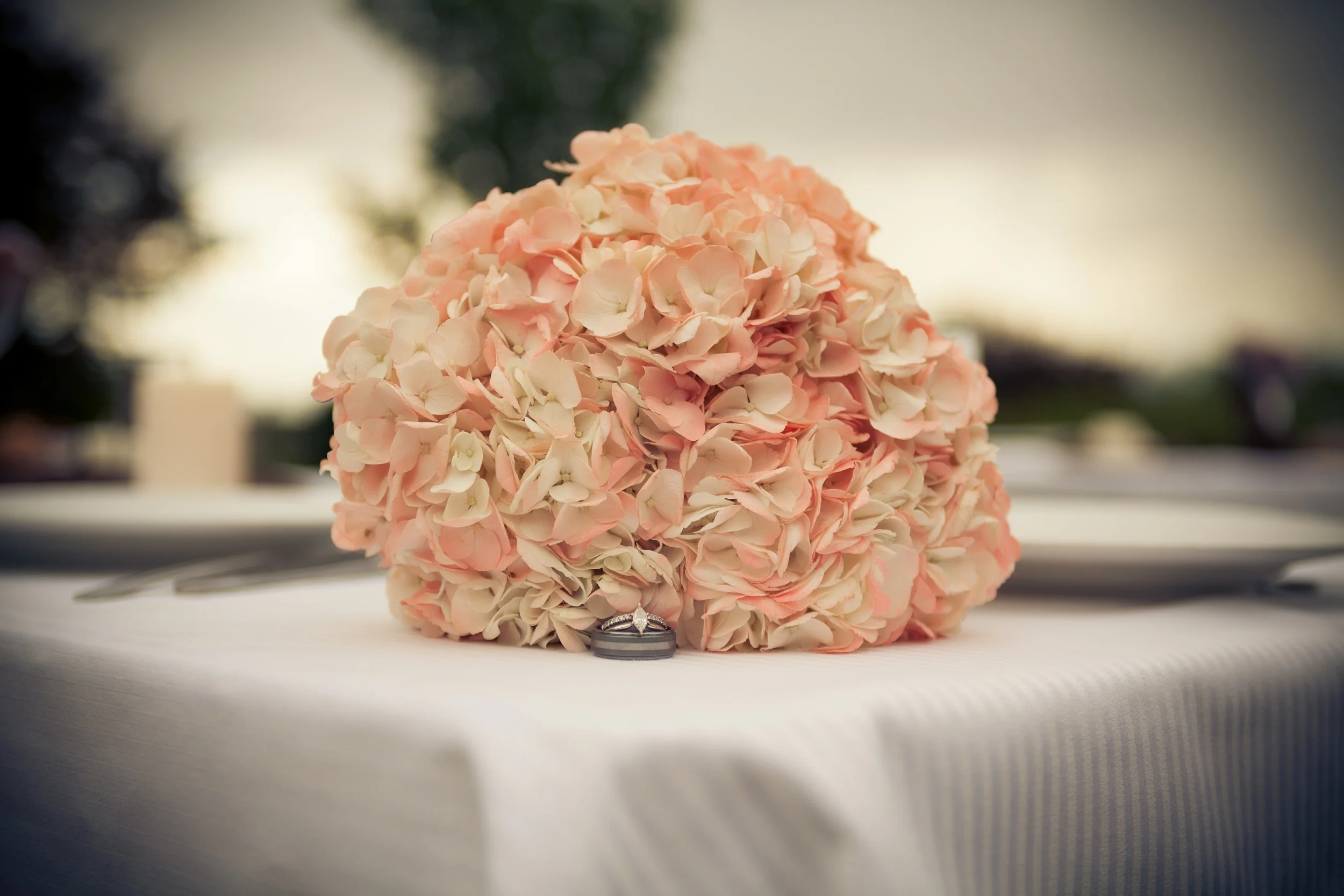 IMG-8975.jpg
