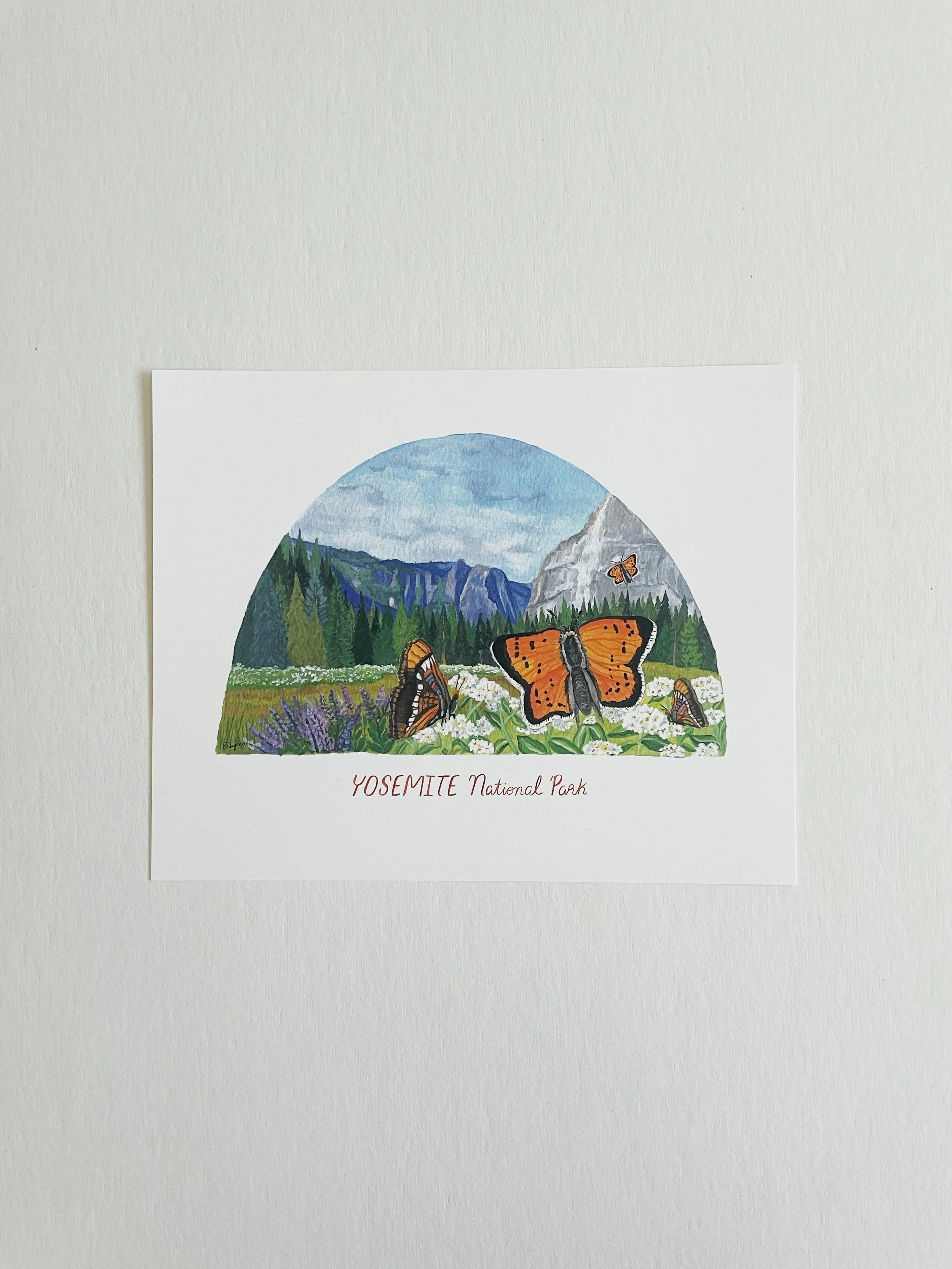 Yosemite National Park Butterfly Print