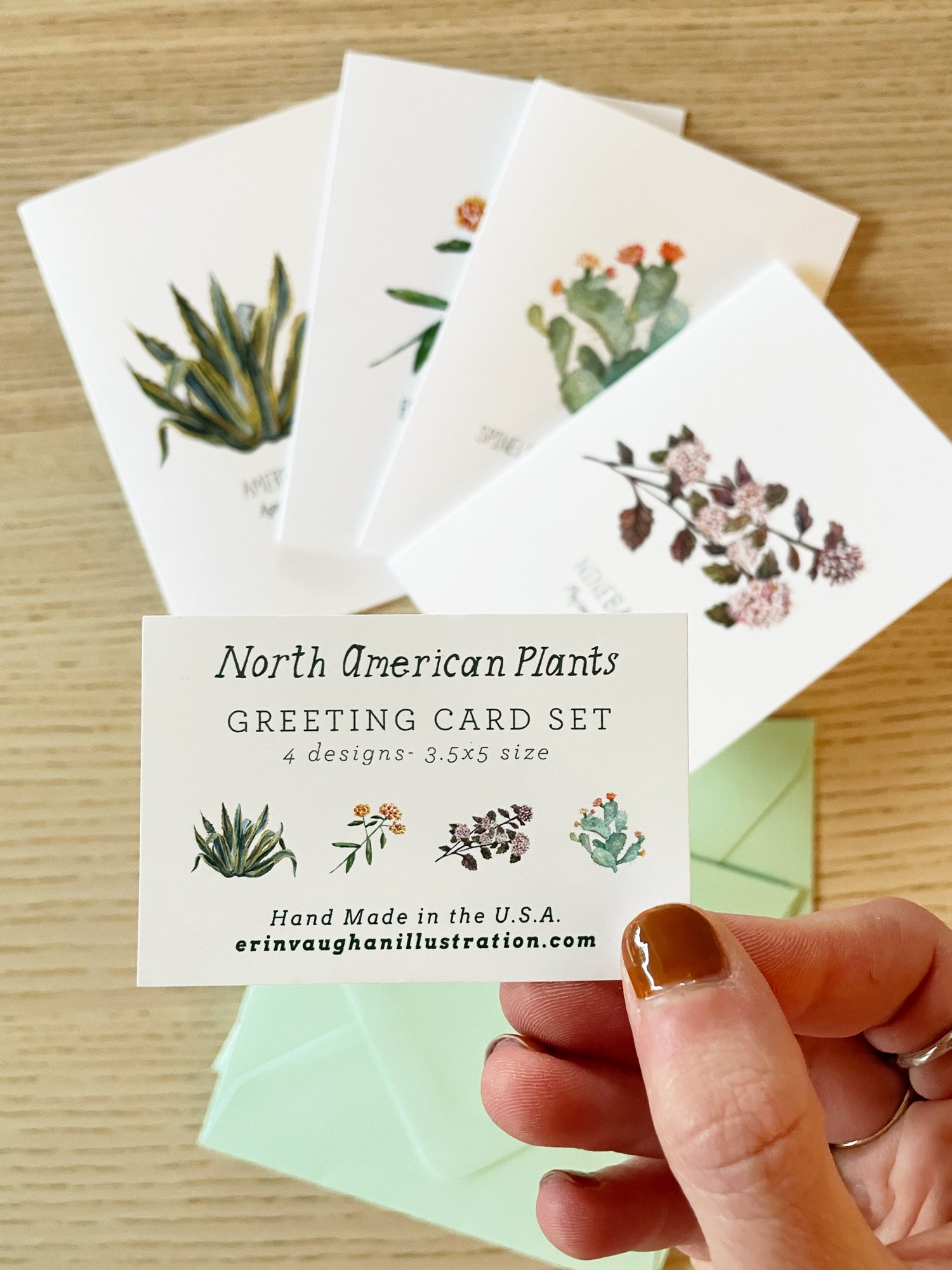 North American Plants (Pack of 4 Mini Greeting Cards) — Erin Vaughan |  Illustration