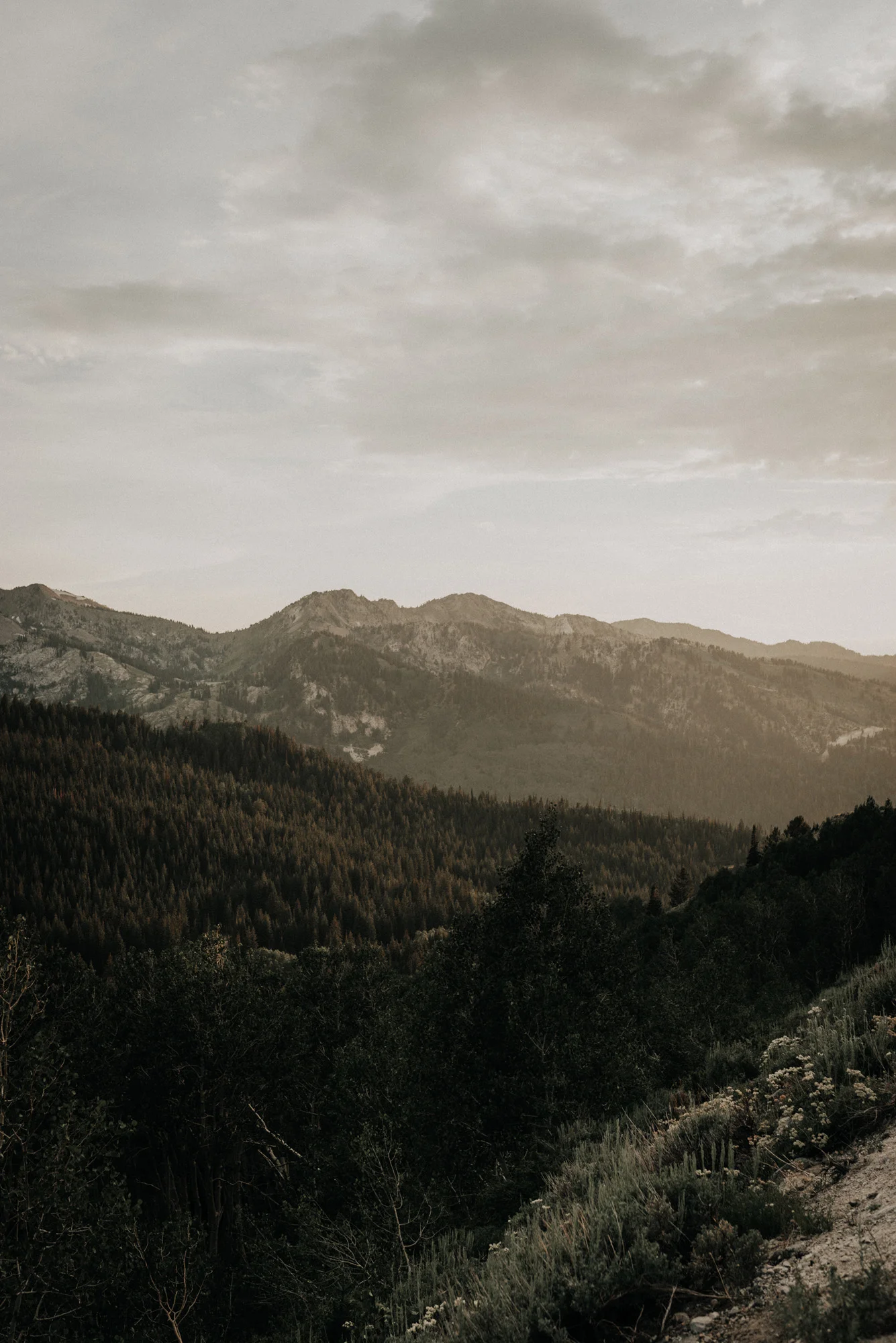 big cottonwood canyon