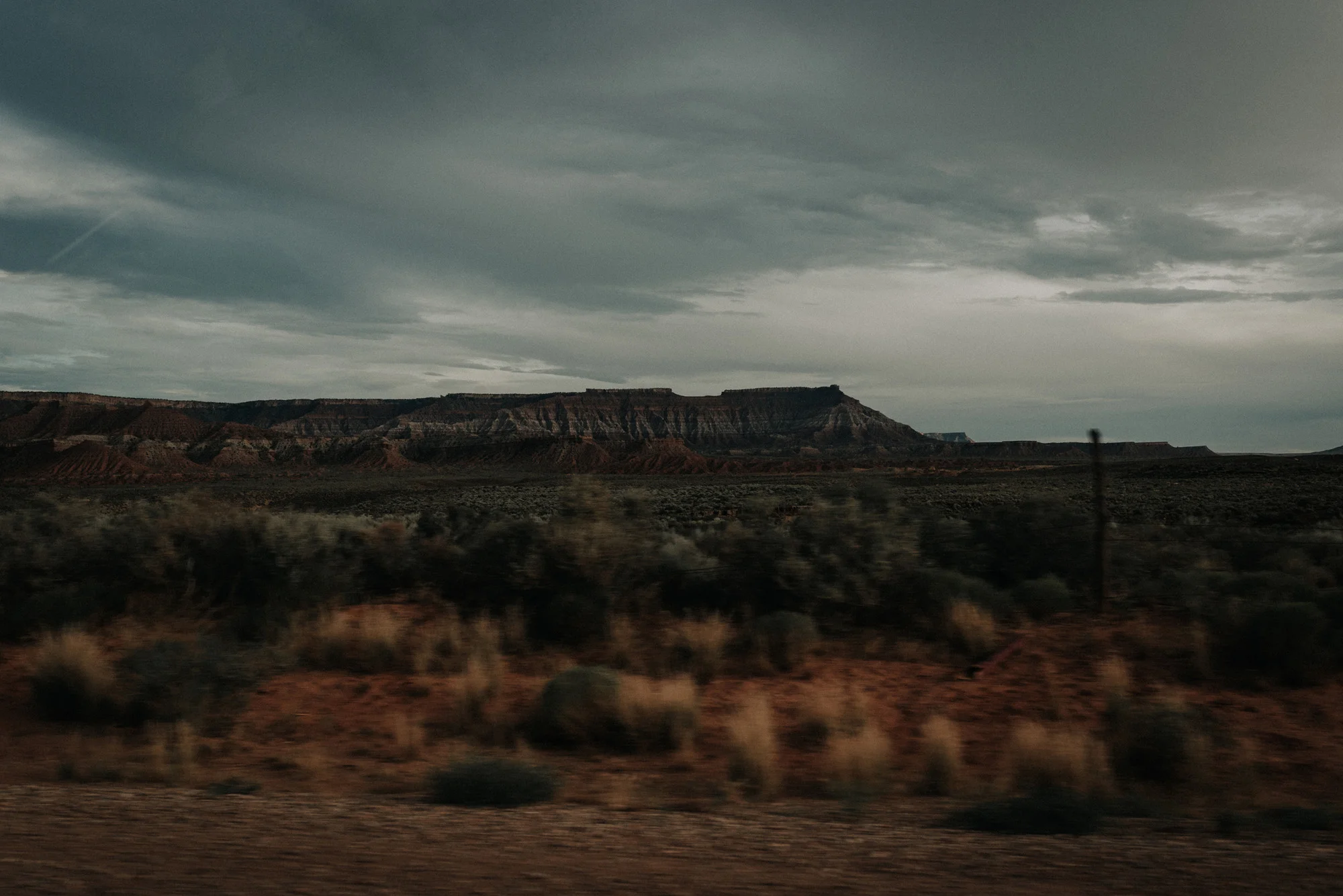 Zion national park kylewillisphoto