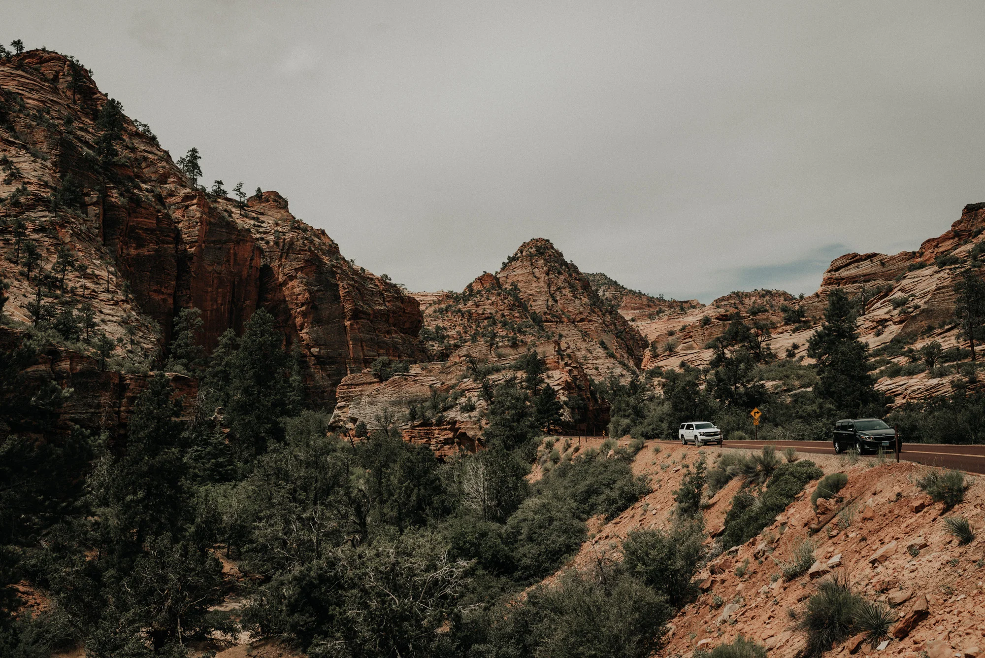 Zion national park kylewillisphoto demurela