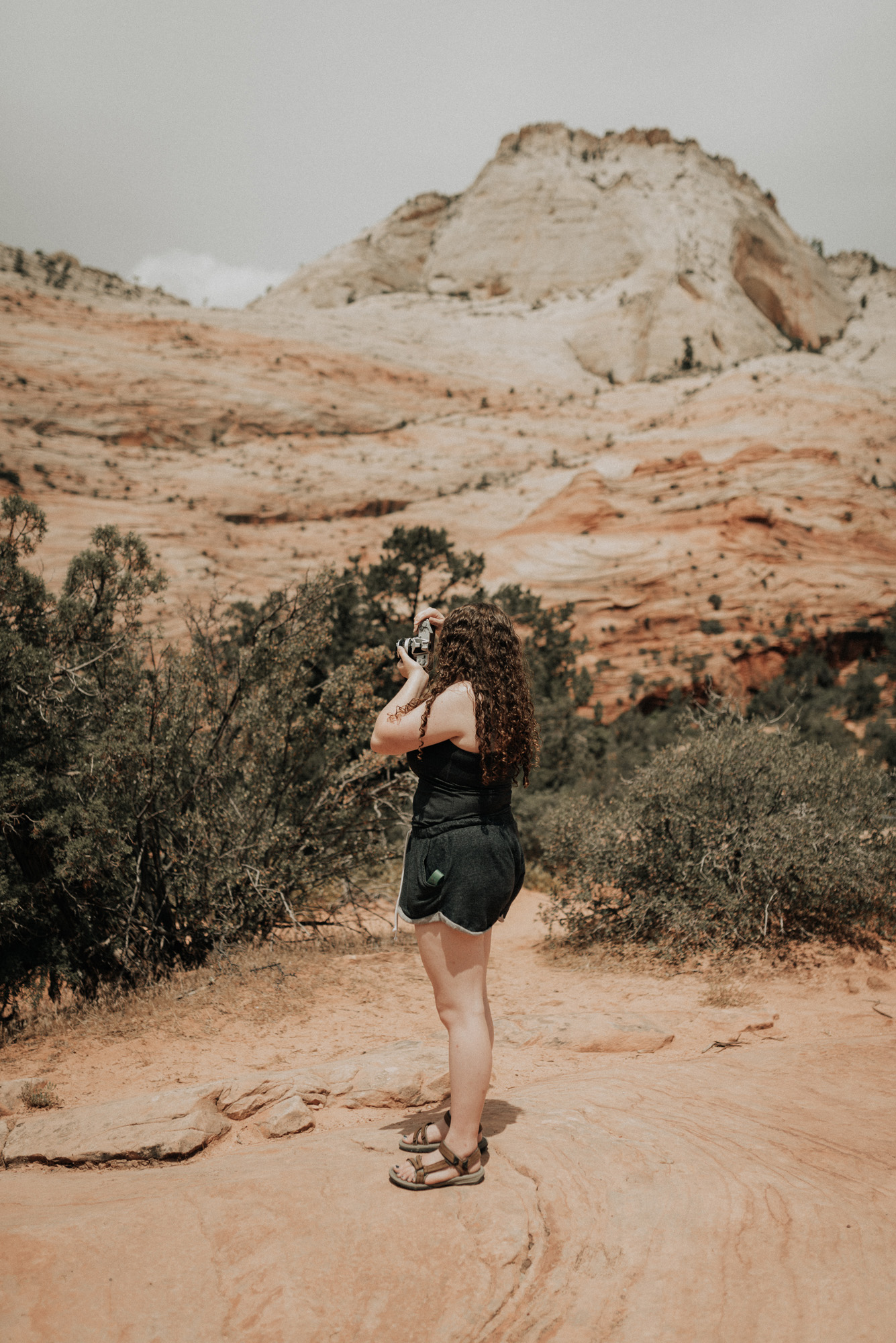 Zion national park kylewillisphoto demurela