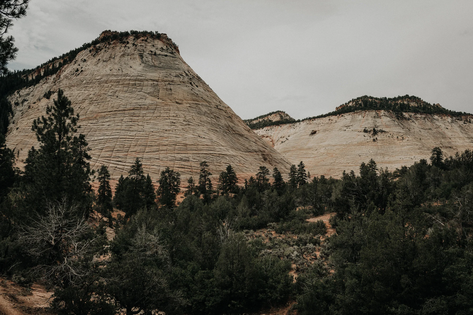 Zion national park kylewillisphoto demurela