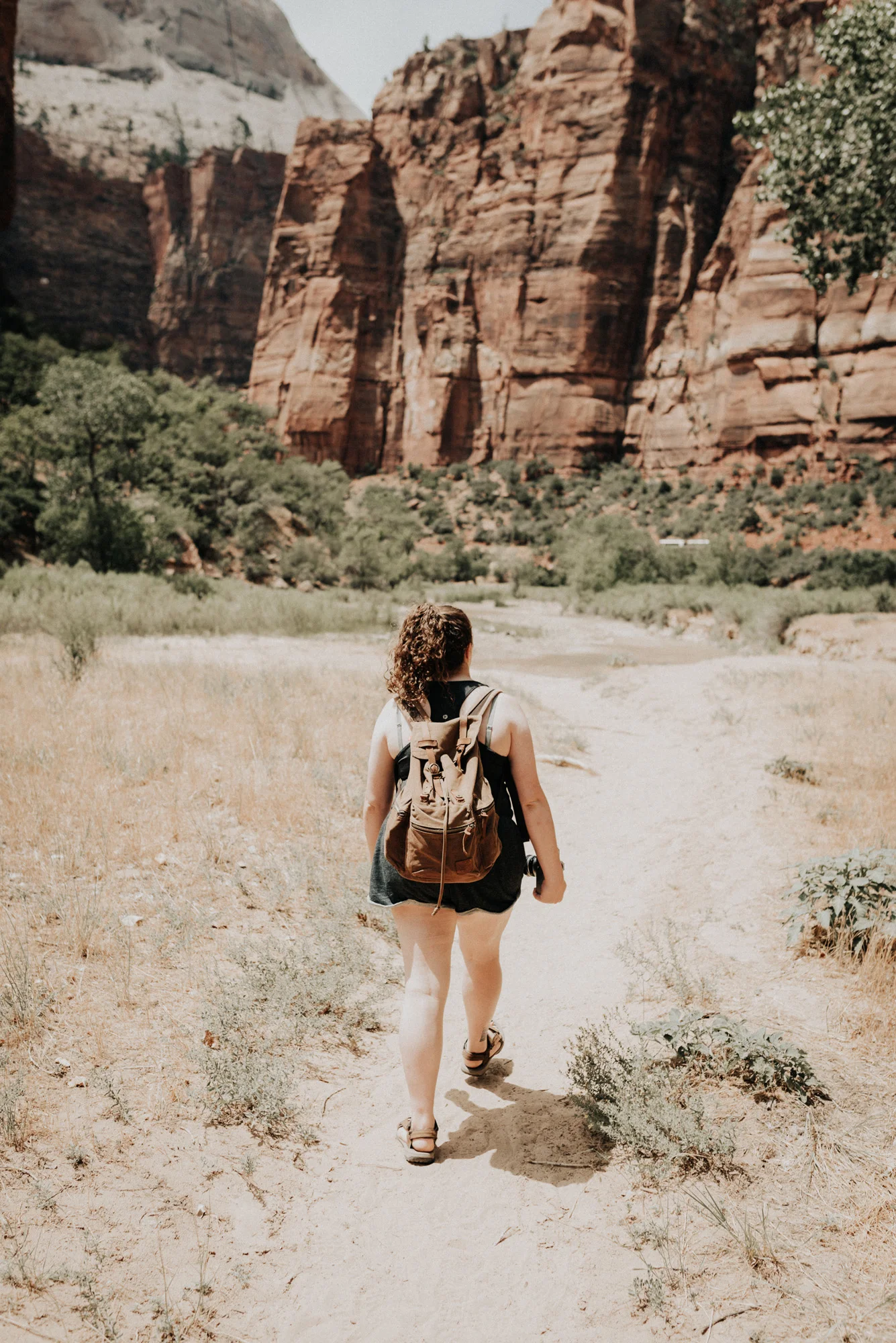 Zion national park kylewillisphoto demurela