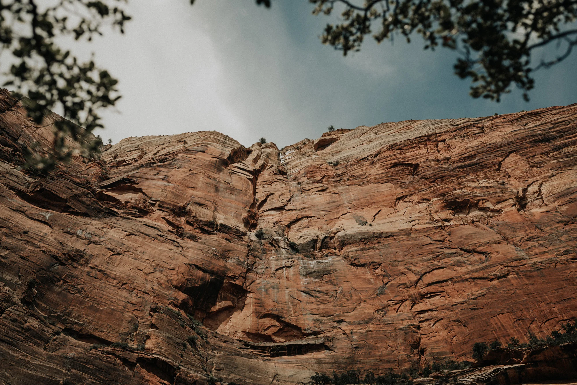 Zion national park kylewillisphoto demurela