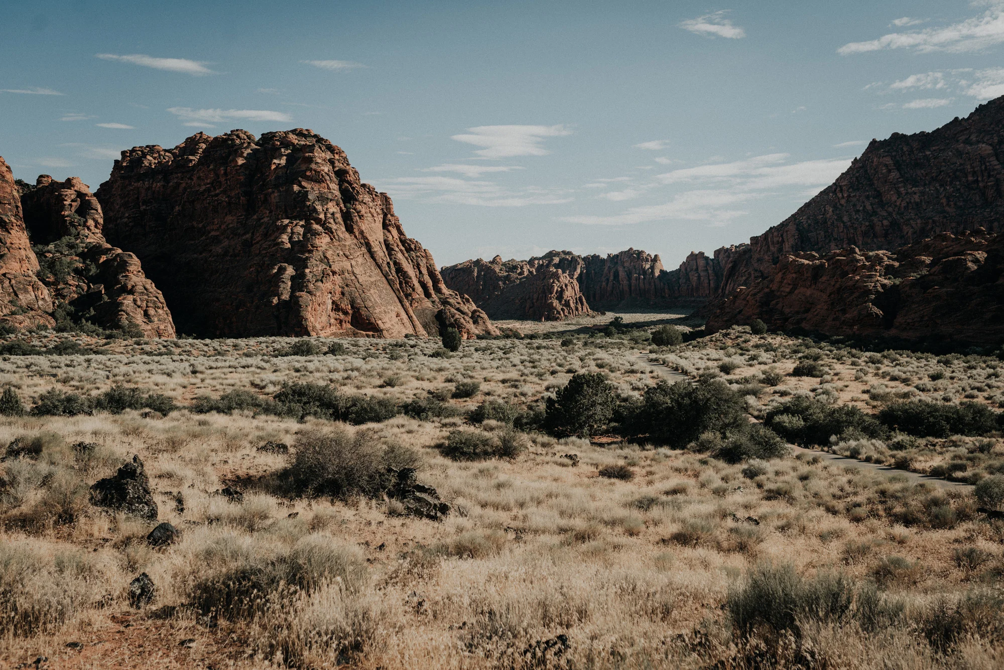 Snow Canyon State Park kylewillisphoto demurela