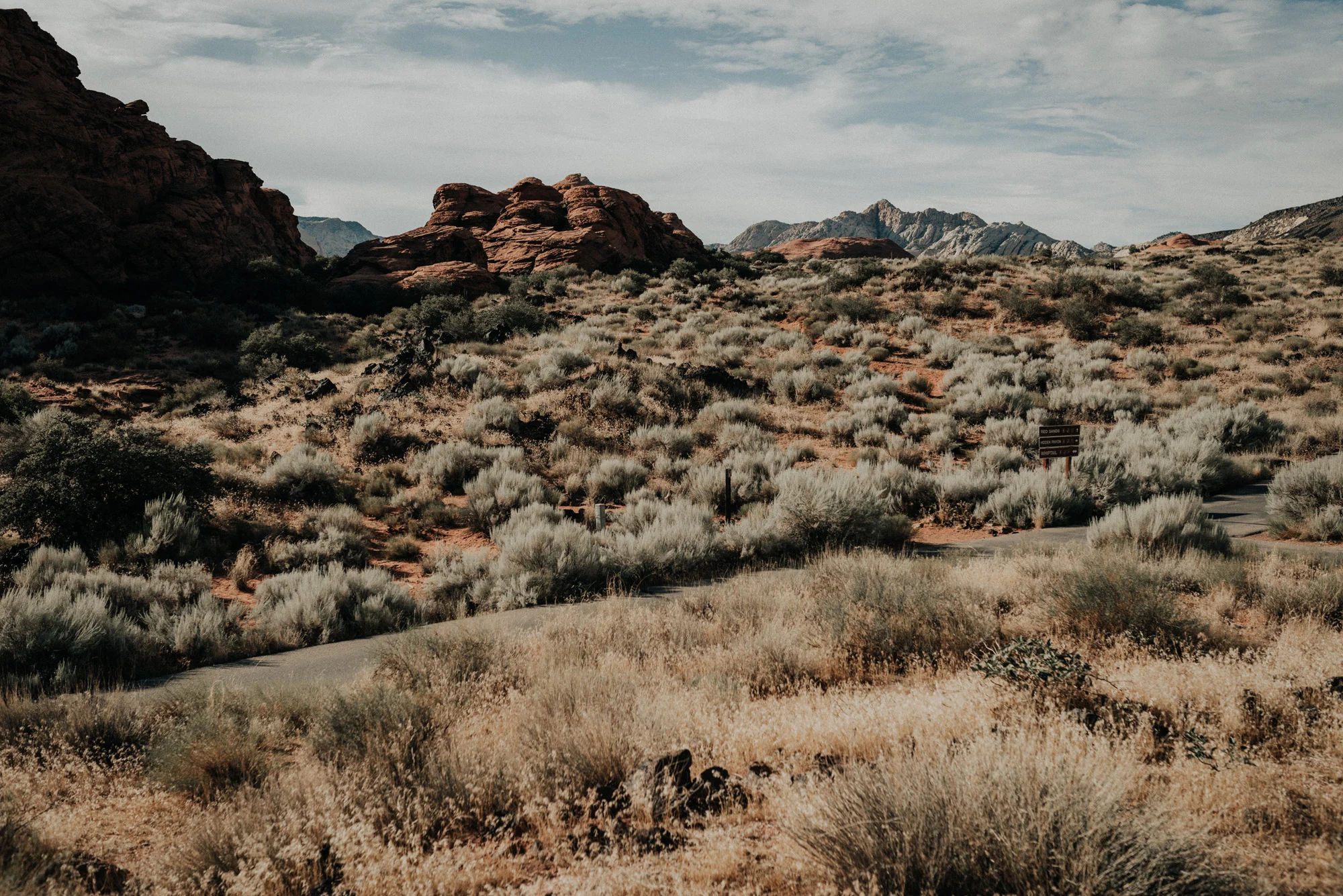 Snow Canyon State Park kylewillisphoto demurela