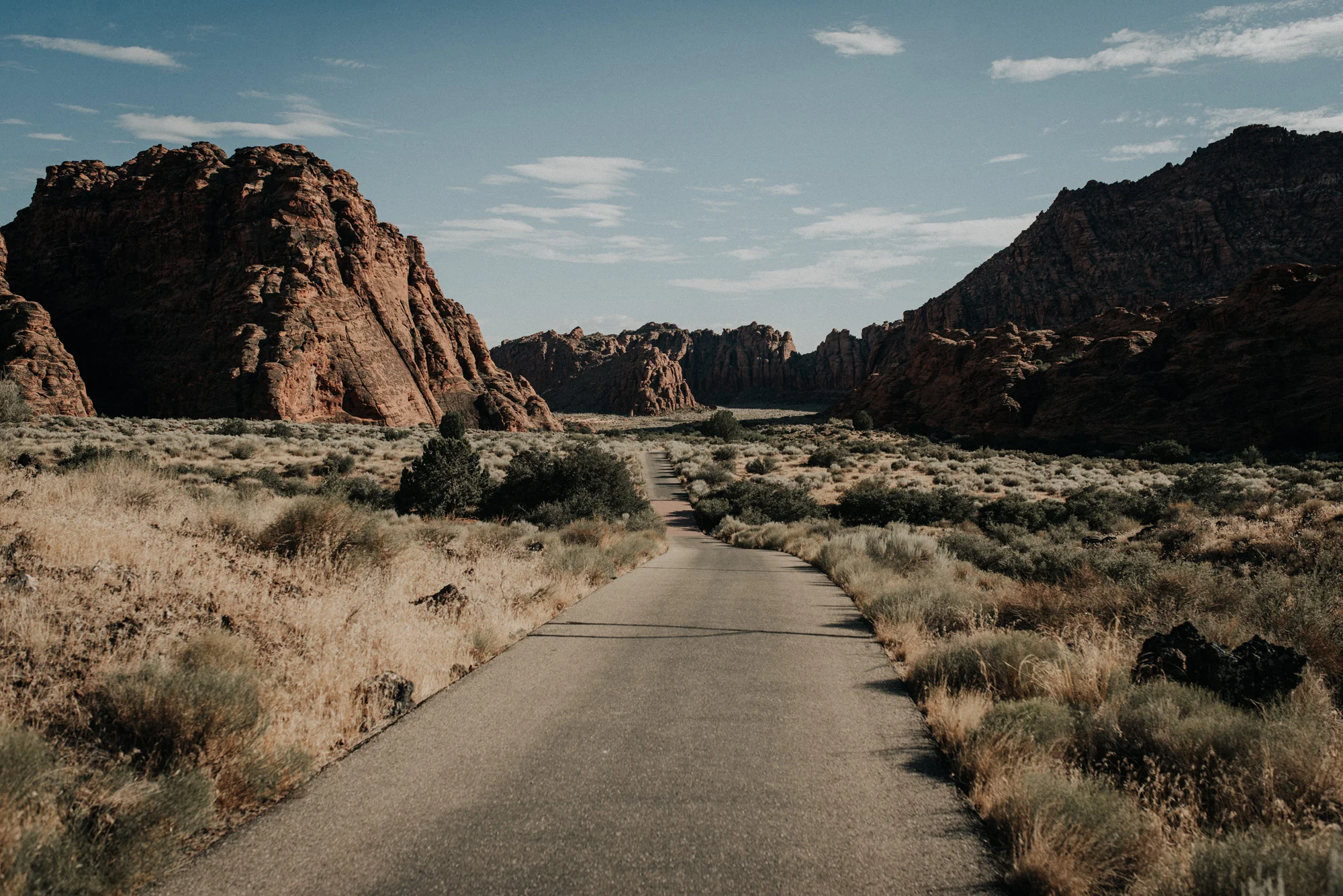 Snow Canyon State Park kylewillisphoto demurela