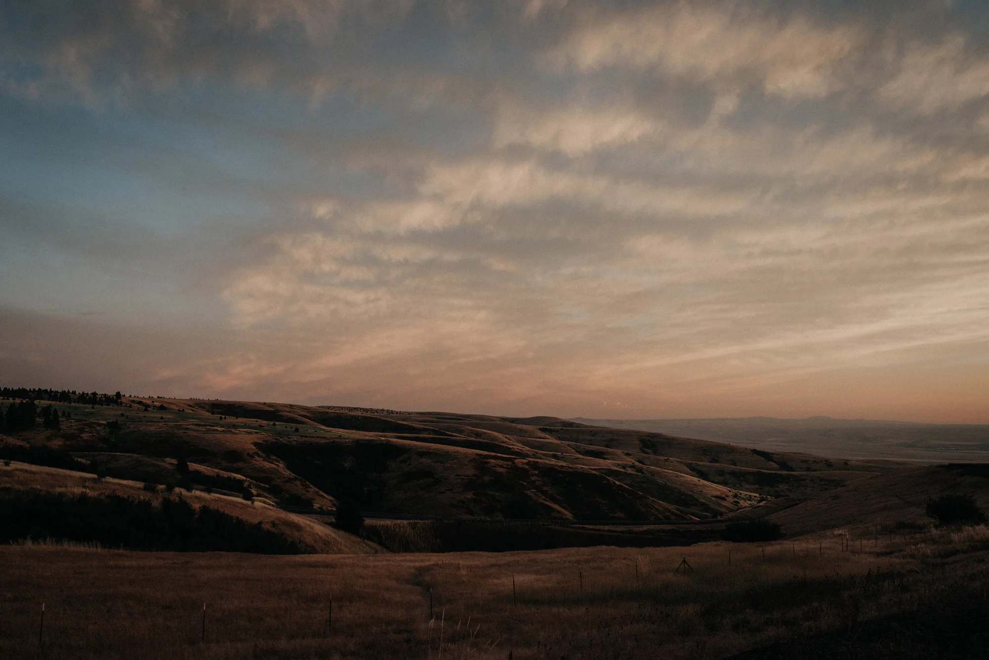 southern oregon kylewillisphoto demurela