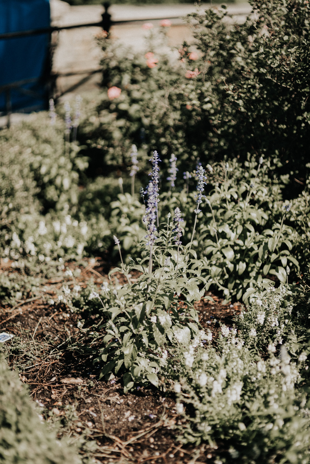 KyleWillisPhoto-Union-Square-Park-Wedding-Proposal-Photos-Engagement-New-York-City
