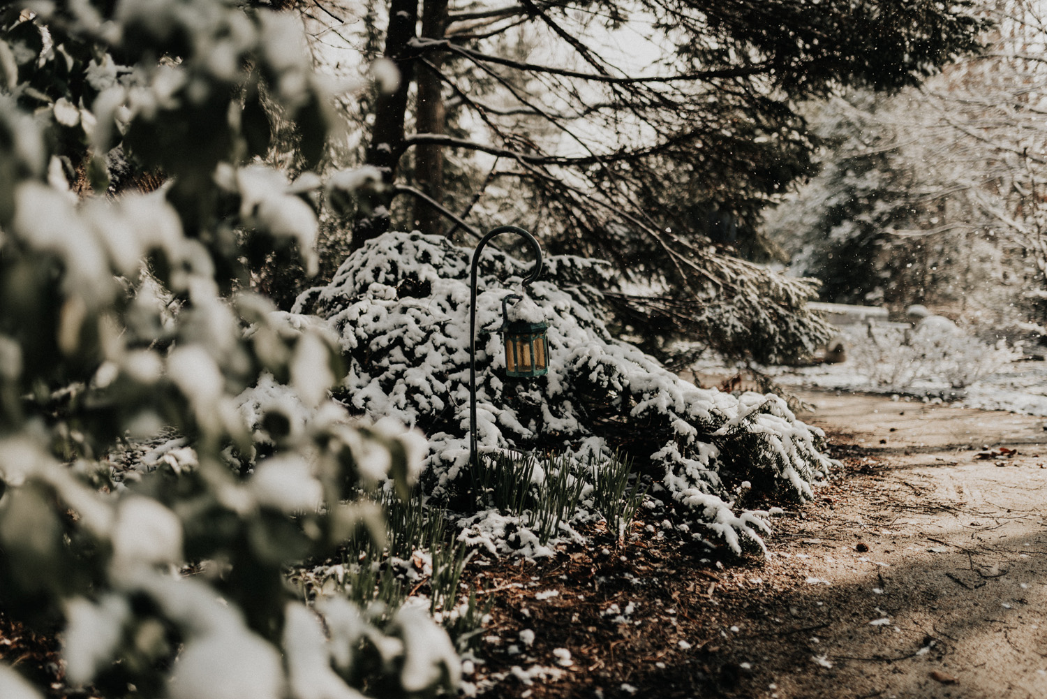 KyleWillisPhoto-Grounds-For-Sculpture-Hamilton-New-Jersey-Engagement-Photos-Photographer-Wedding