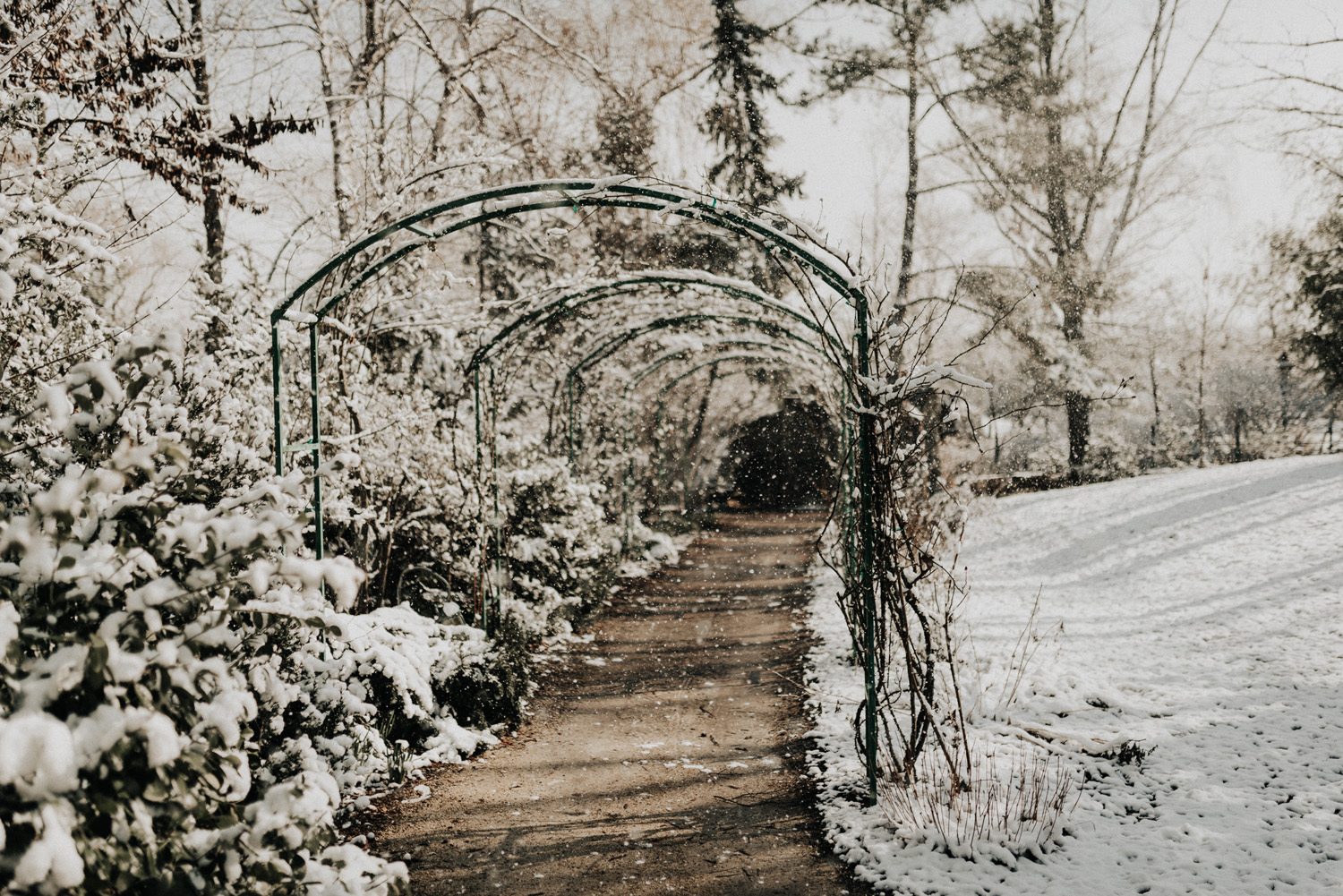 KyleWillisPhoto-Grounds-For-Sculpture-Hamilton-New-Jersey-Engagement-Photos-Photographer-Wedding