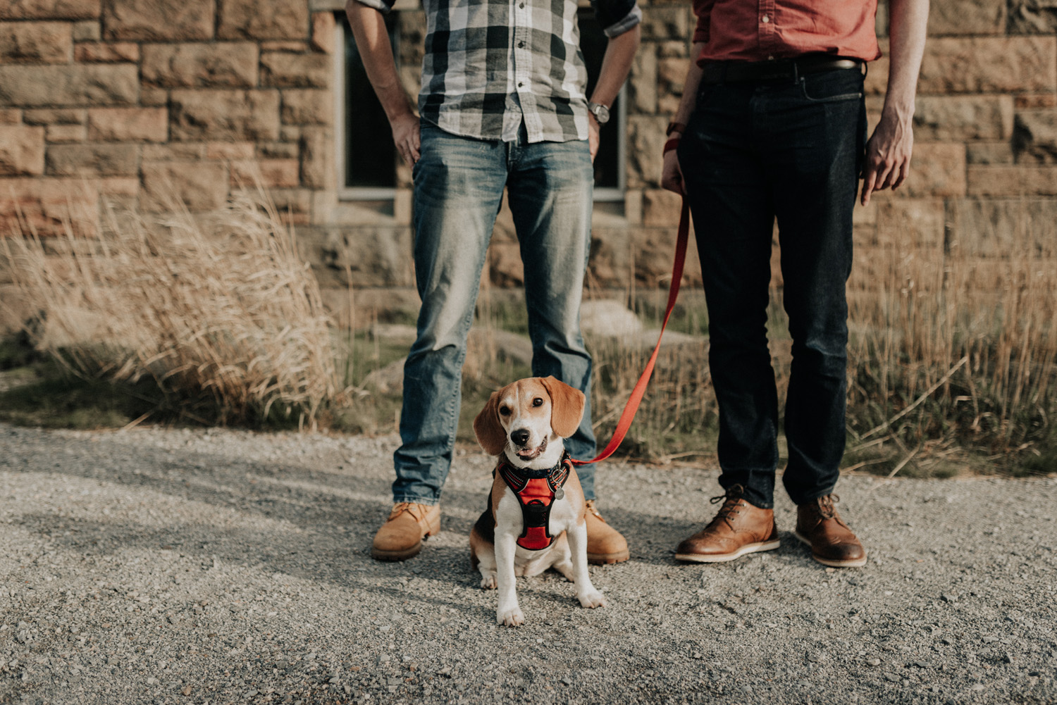 kylewillisphoto_kyle_willis_photography_bear_mountain_engagement_photos_gay_same_sex_sunset_appalacian_philadelphia_new_jersey_york_wedding_photographer_moody_engaged10.jpg