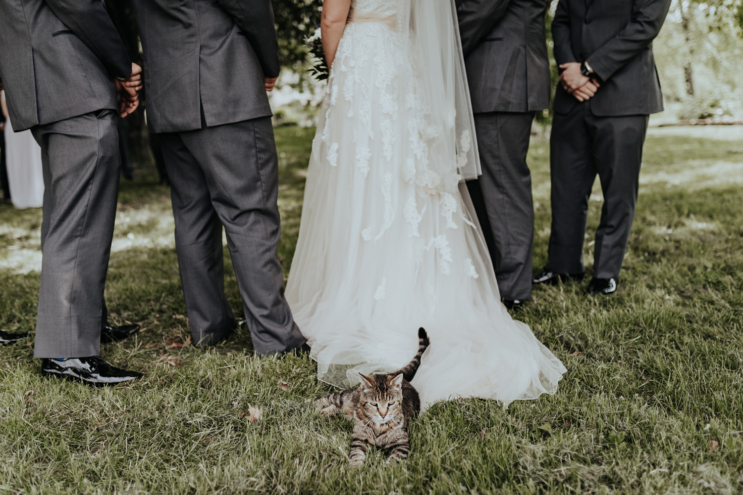 kylewillisphoto_kyle_willis_photography_rodale_institute_farm_wedding_kutztown_pennsylvania_pa_philadelphia_rustic_lavender_sendoff_exit_new_jersey_marriage_engagement_york_city_moody328.jpg