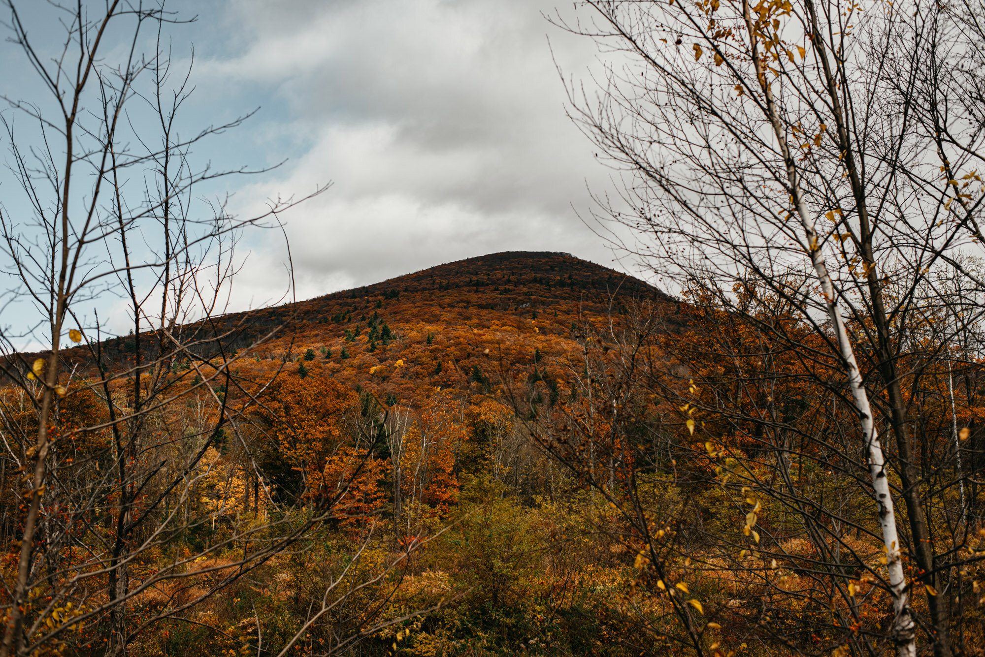 kylewillisphoto-woodstock-ny-new-york-catskills-demurela-daniel-quiyu-nikon-35mm-adirondacks-mountains