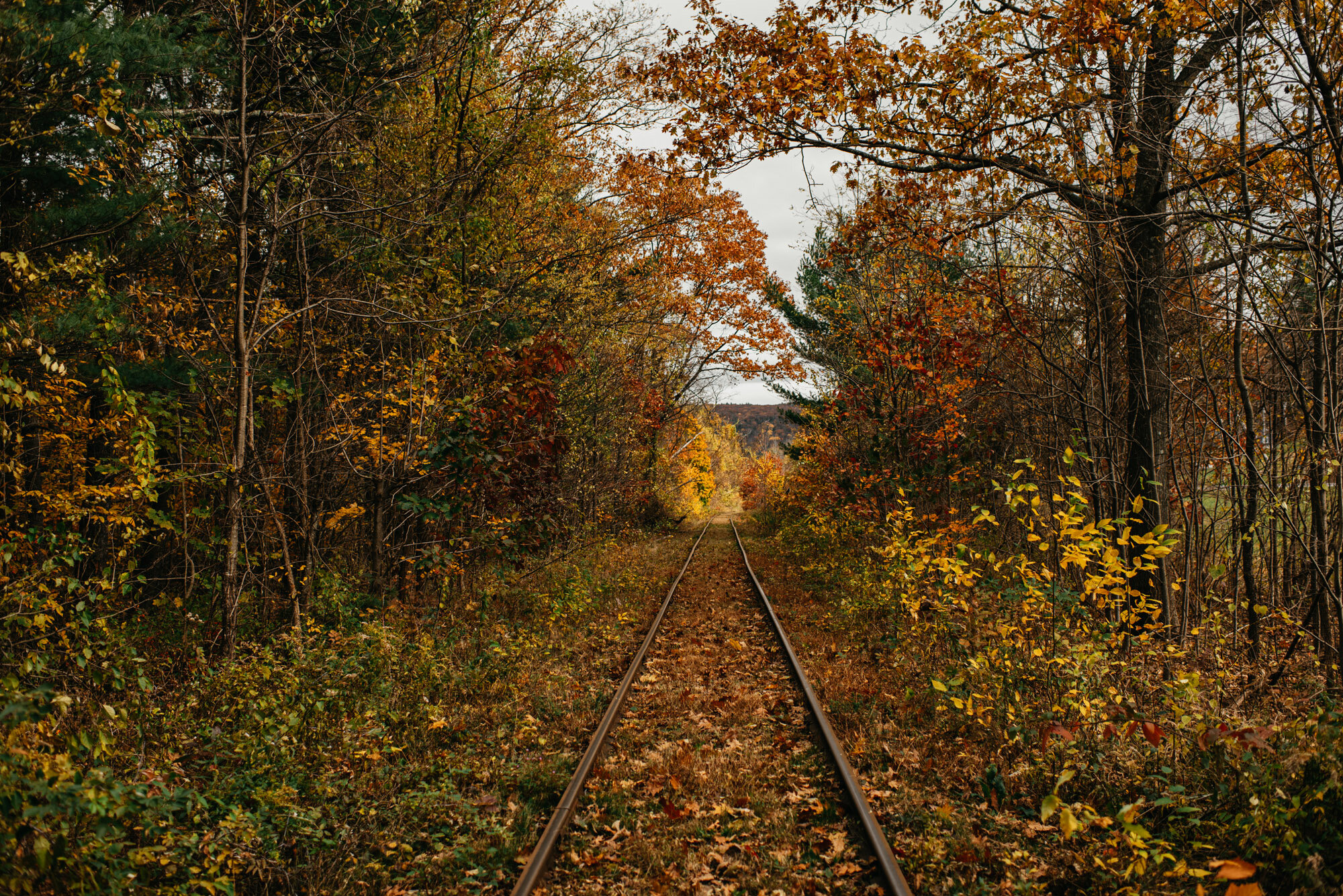 kylewillisphoto-woodstock-ny-new-york-catskills-demurela-daniel-quiyu-nikon-35mm-adirondacks-mountains