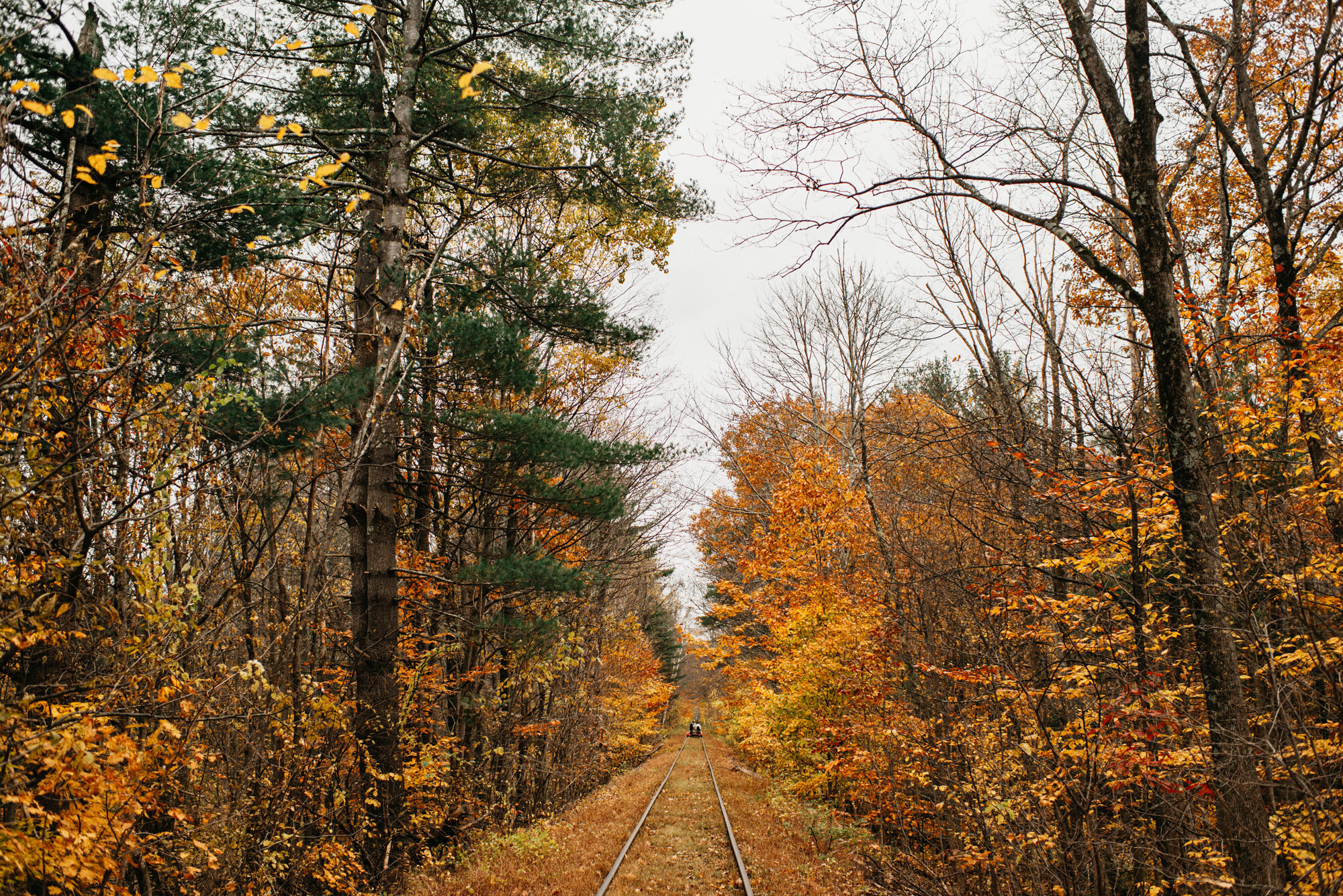 kylewillisphoto-woodstock-ny-new-york-catskills-demurela-daniel-quiyu-nikon-35mm-adirondacks-mountains