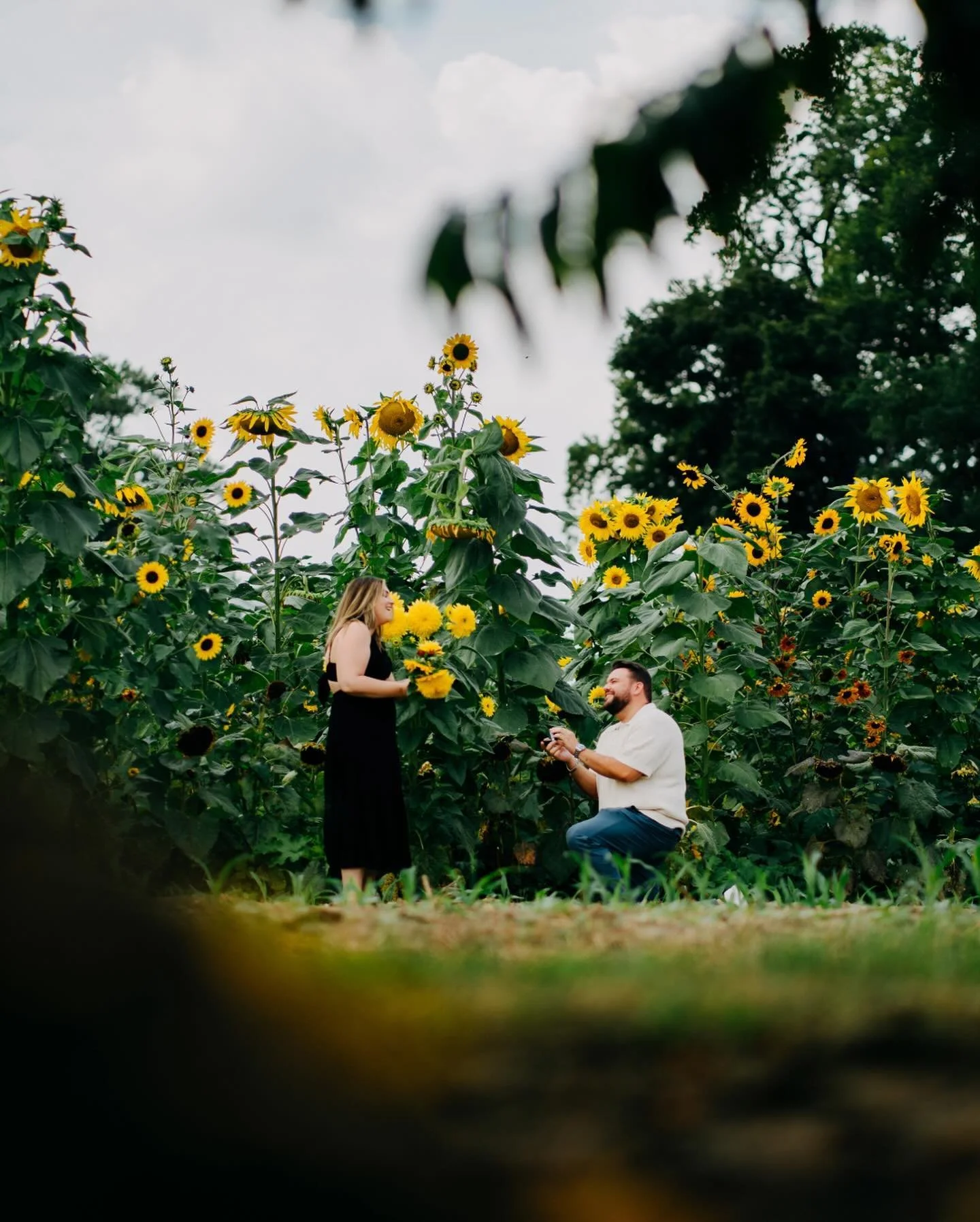 Couldn&rsquo;t be happier for these two. Hid in some trees to capture the organic moment in the sunflowers.
#SurpriseProposal #SunflowerProposal #NJProposal #NewJerseyProposal #NJSunflowers #SunflowerFieldProposal #EngagedInNJ #NJWeddingProposal #Sun