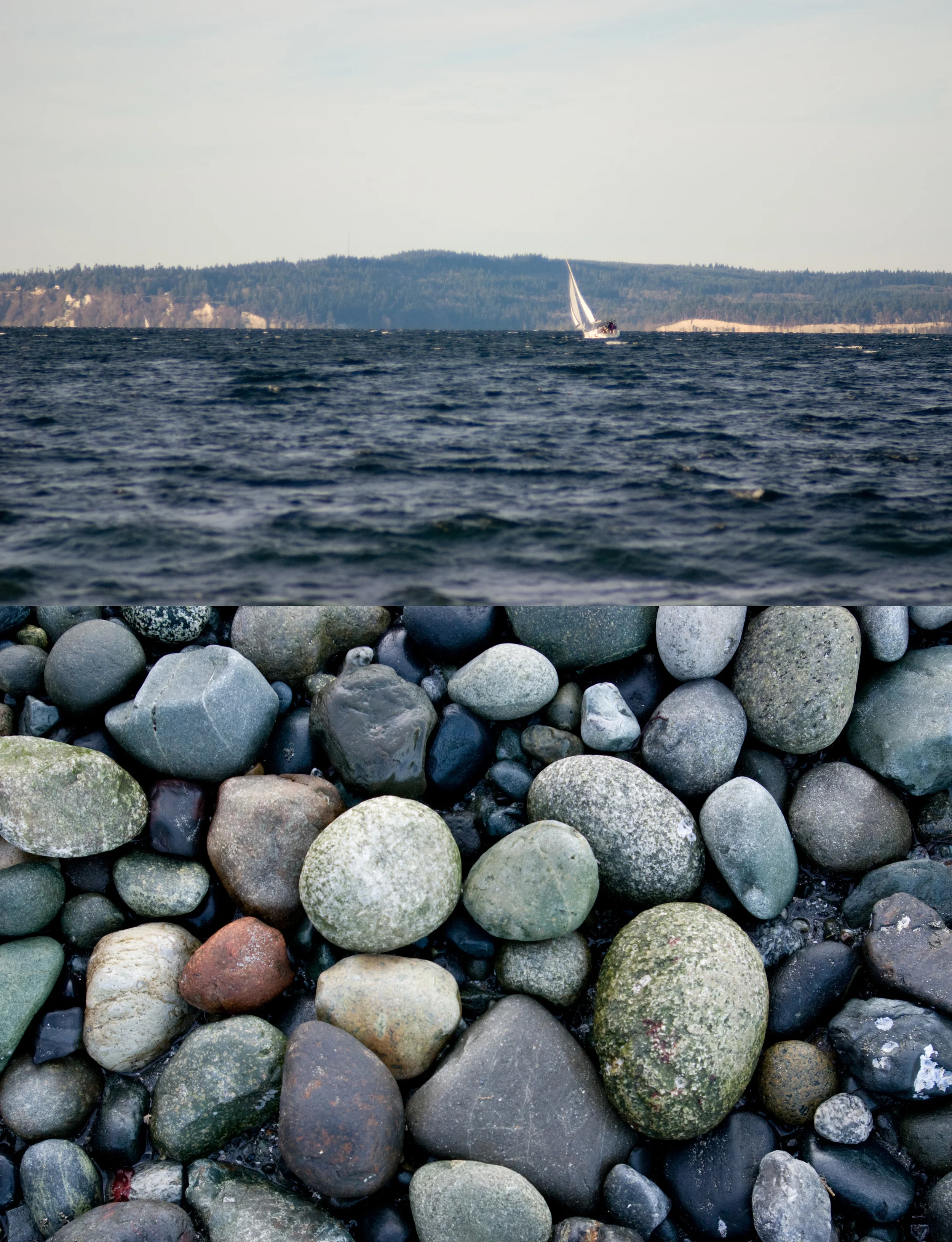 rockbeach.jpg