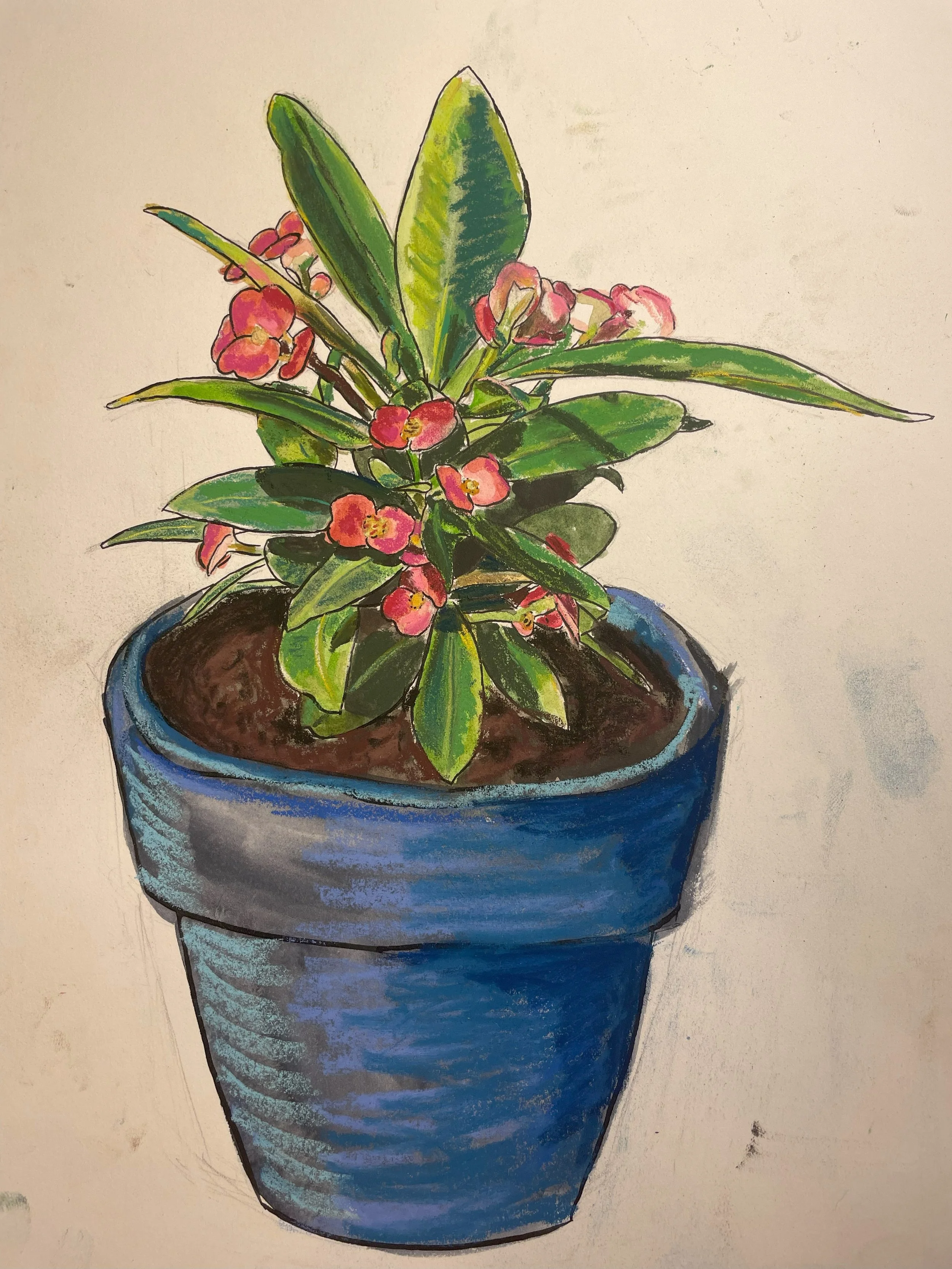 crown of thorns.jpg