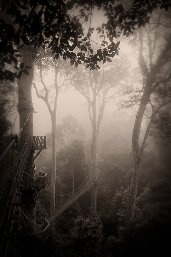 2012024_BOR_BRL_013BWssweb.jpg