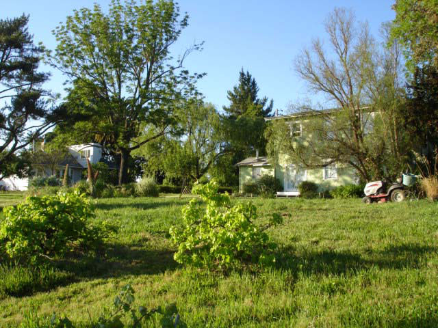 image (3).png