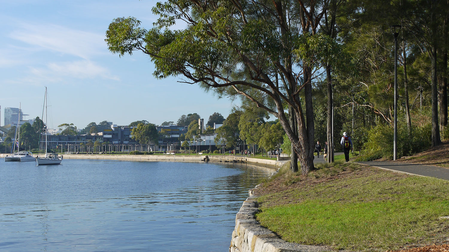 Blackwattle Bay, Sydney, Australia