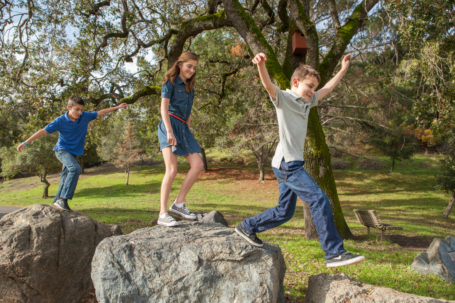  Family Portrait in Novato, CA 