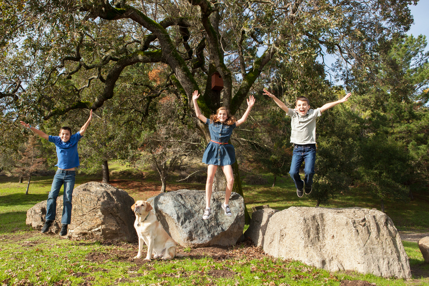  Family Portrait in Novato, CA  