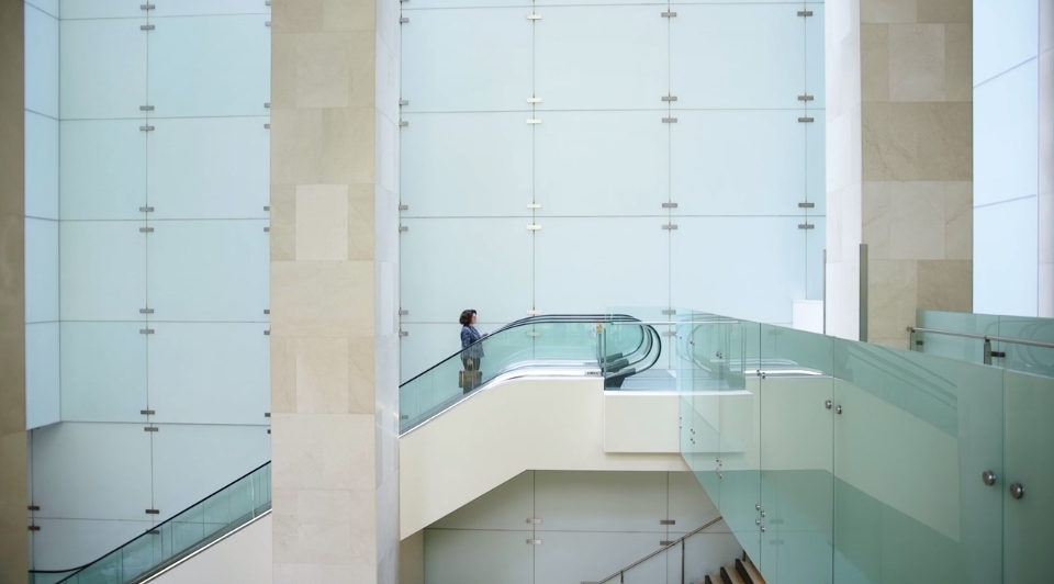 Screen Shot 2019-08-01 at 10.45.27 am.png