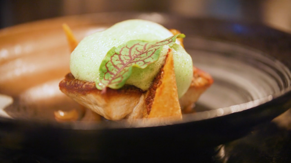 Screen Shot 2019-08-01 at 10.56.50 am.png