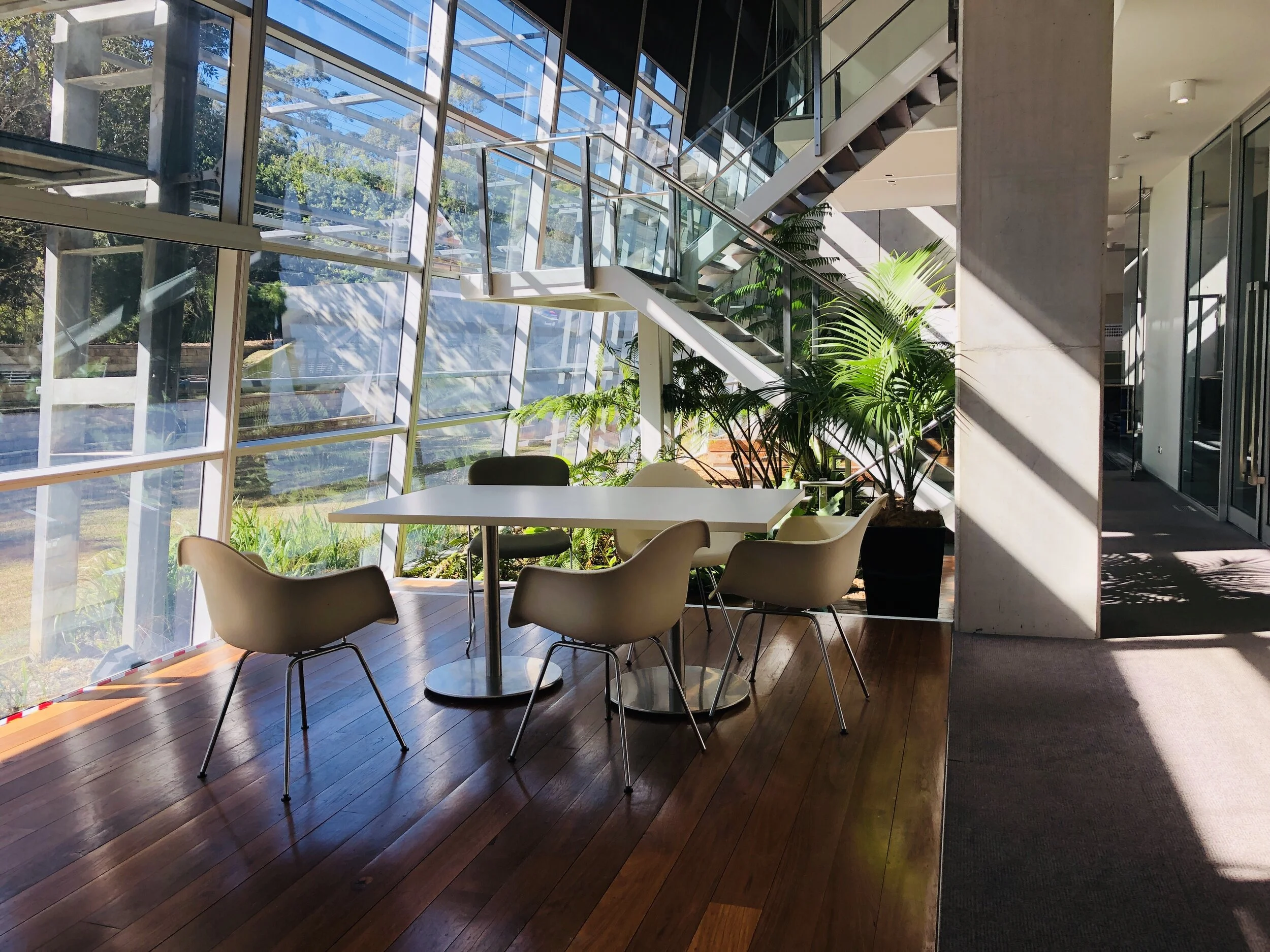 Blackmore’s HQ is filled with light, lush plants and an overall sense of wellbeing. There’s free massages too.