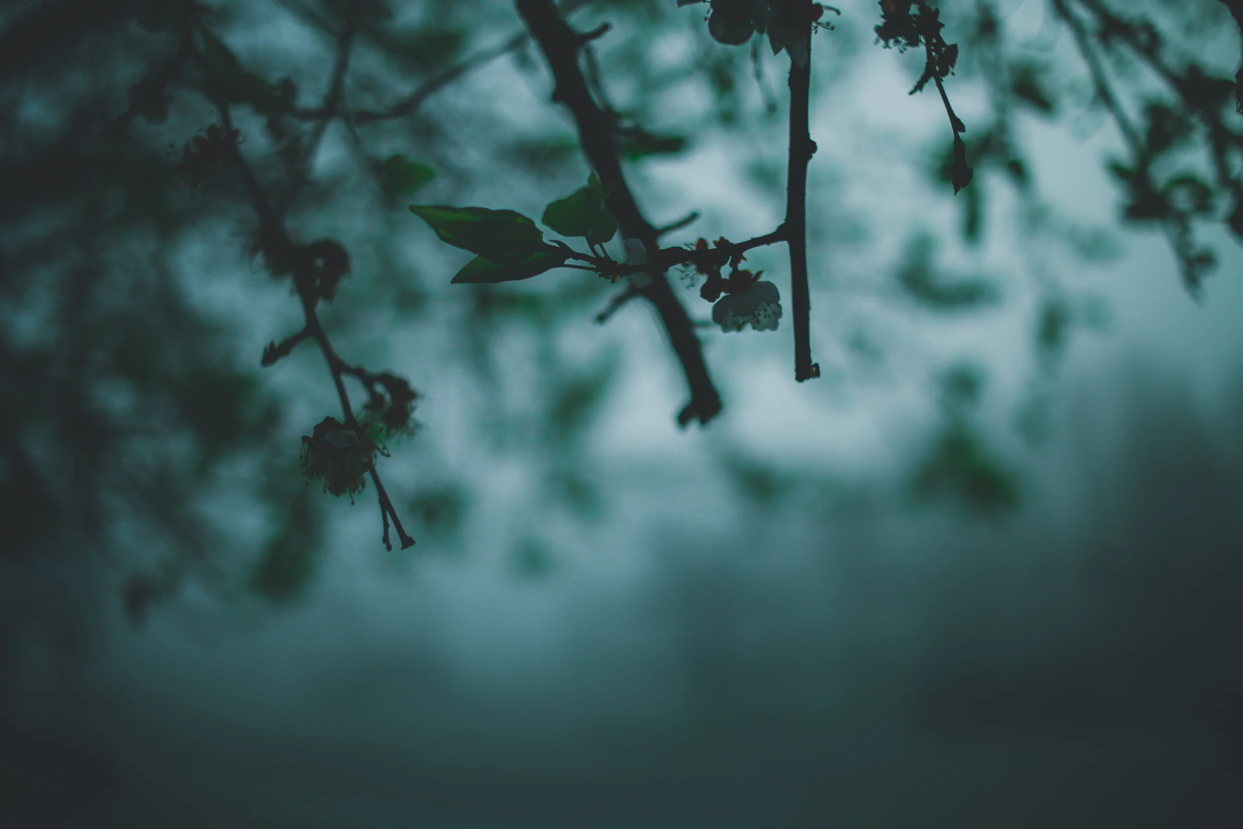 032615-anesthesia-1.jpg