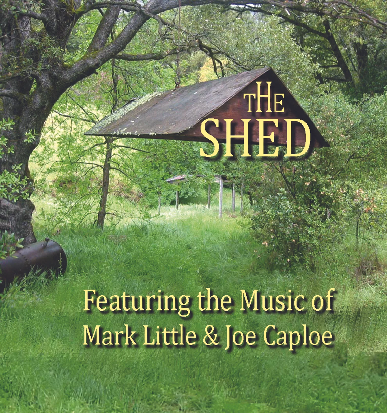 shed cover final.jpg