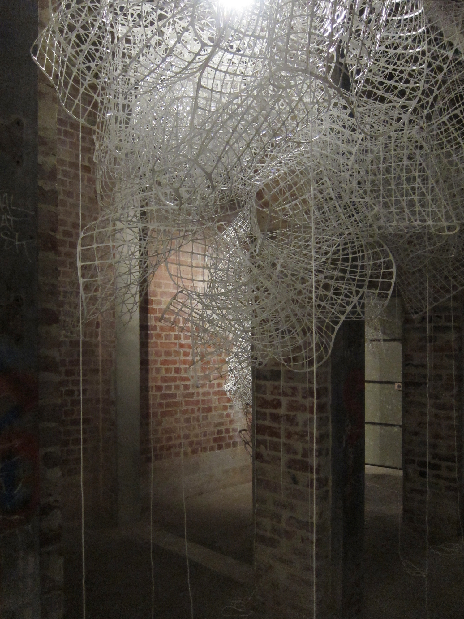   Runnel,  2011. Finalist in Substation Contemporary Art Prize.  Plastic trellis, rope, light. Dimensions variable. 