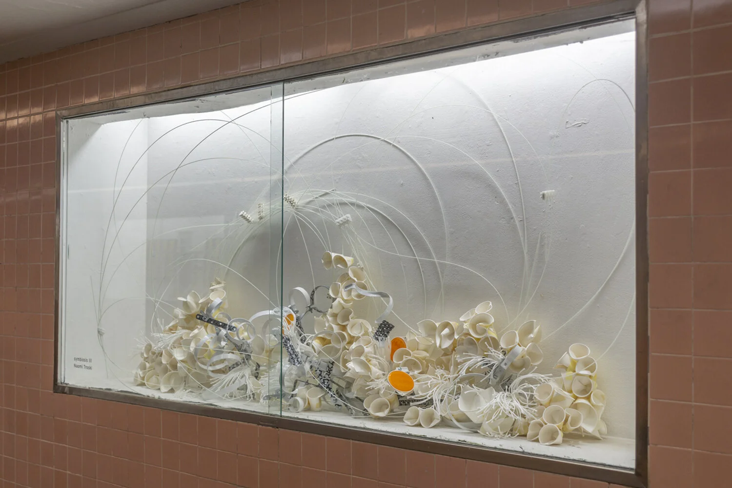 symbiosis III , 2019. Dimensions: 180 x 95 x 50cm. Materials: trellis, paper, linen, rope, fiberglass. Photo: Theresa Harrison