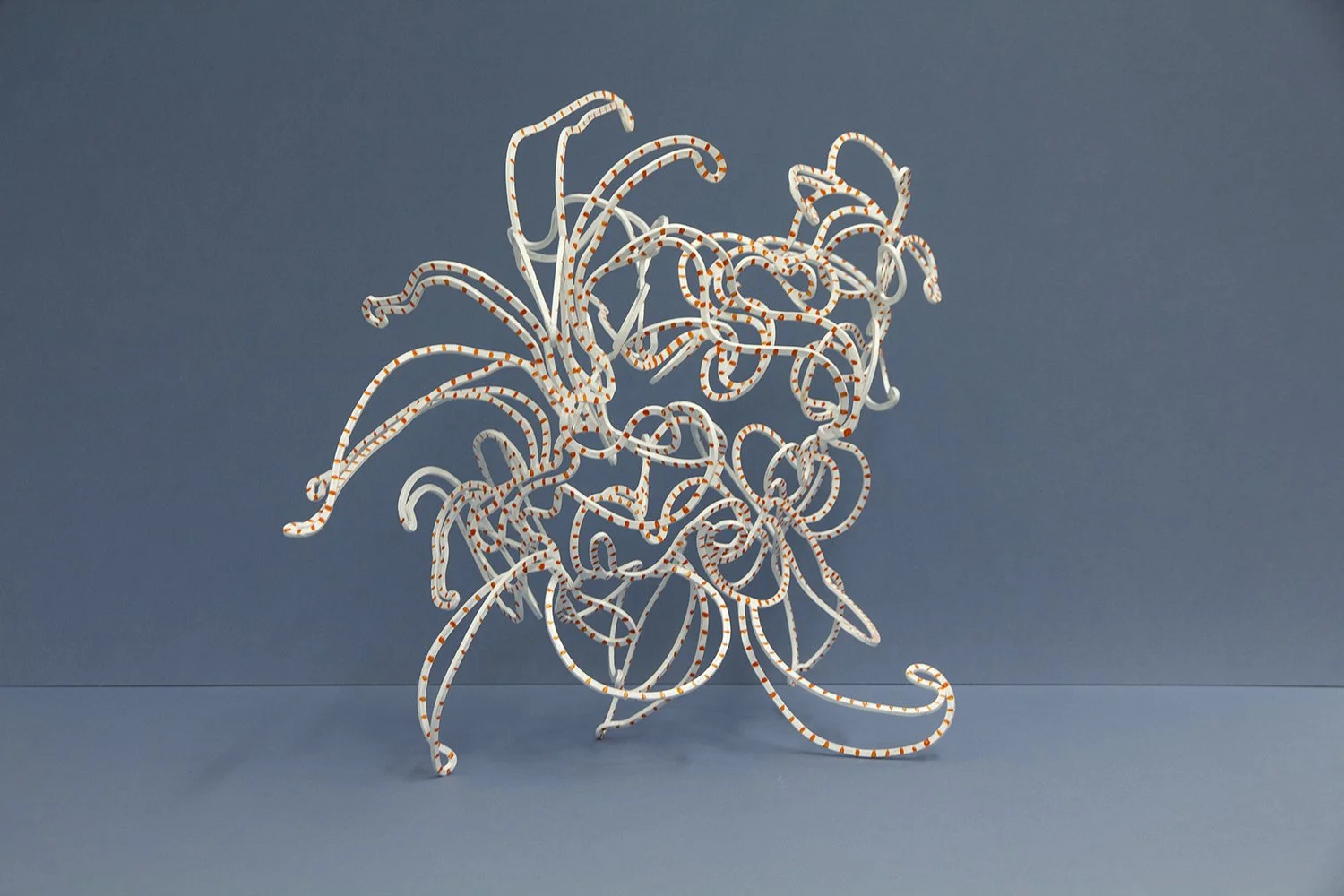   only the grass stands up   (grevillea iaspicula),  2022;&nbsp;singular aluminium ribbon,  hand folded, hand painted synthetic polymer paint.&nbsp;50x45x30cm. 