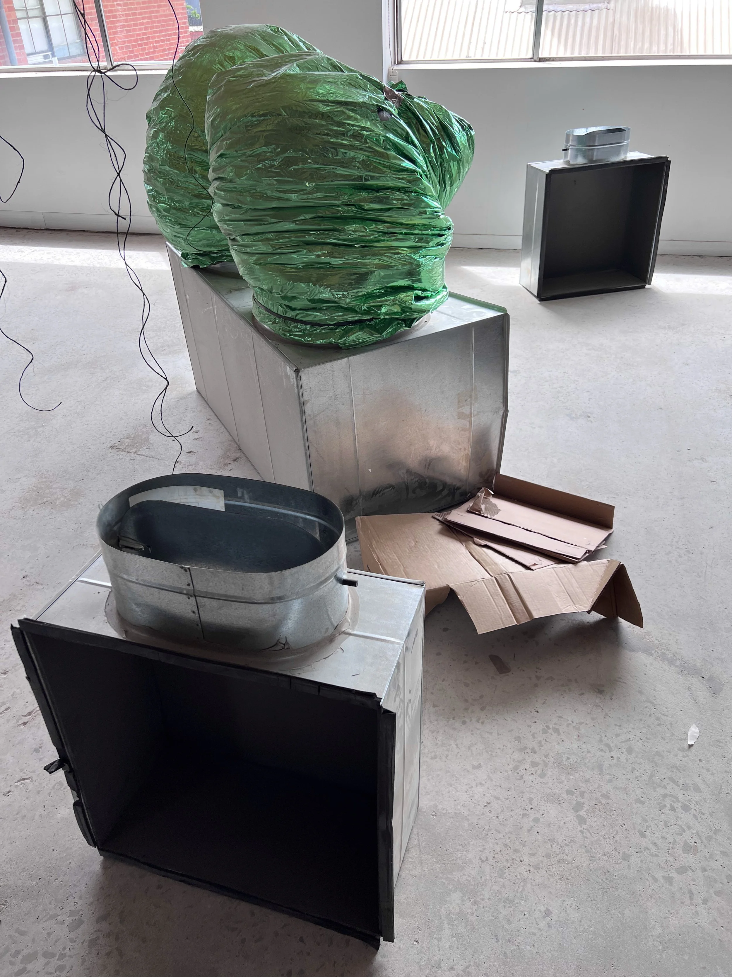 IMG_0394green foil bum.jpg