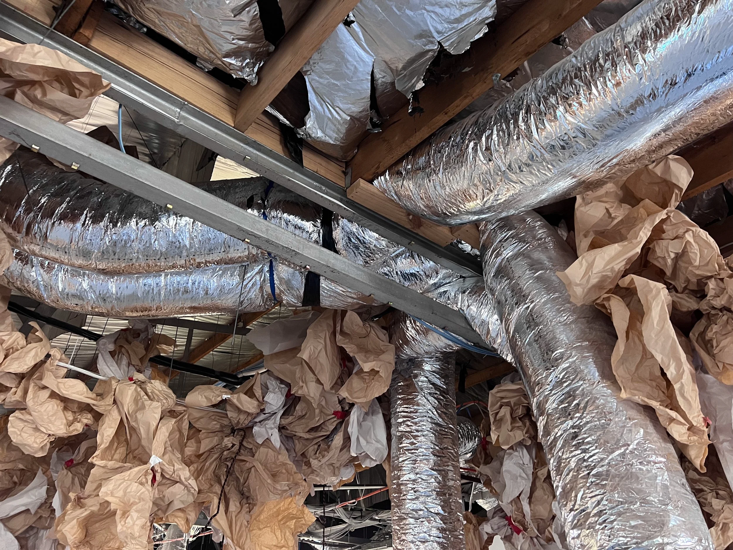 IMG_0483+++ copy.jpg