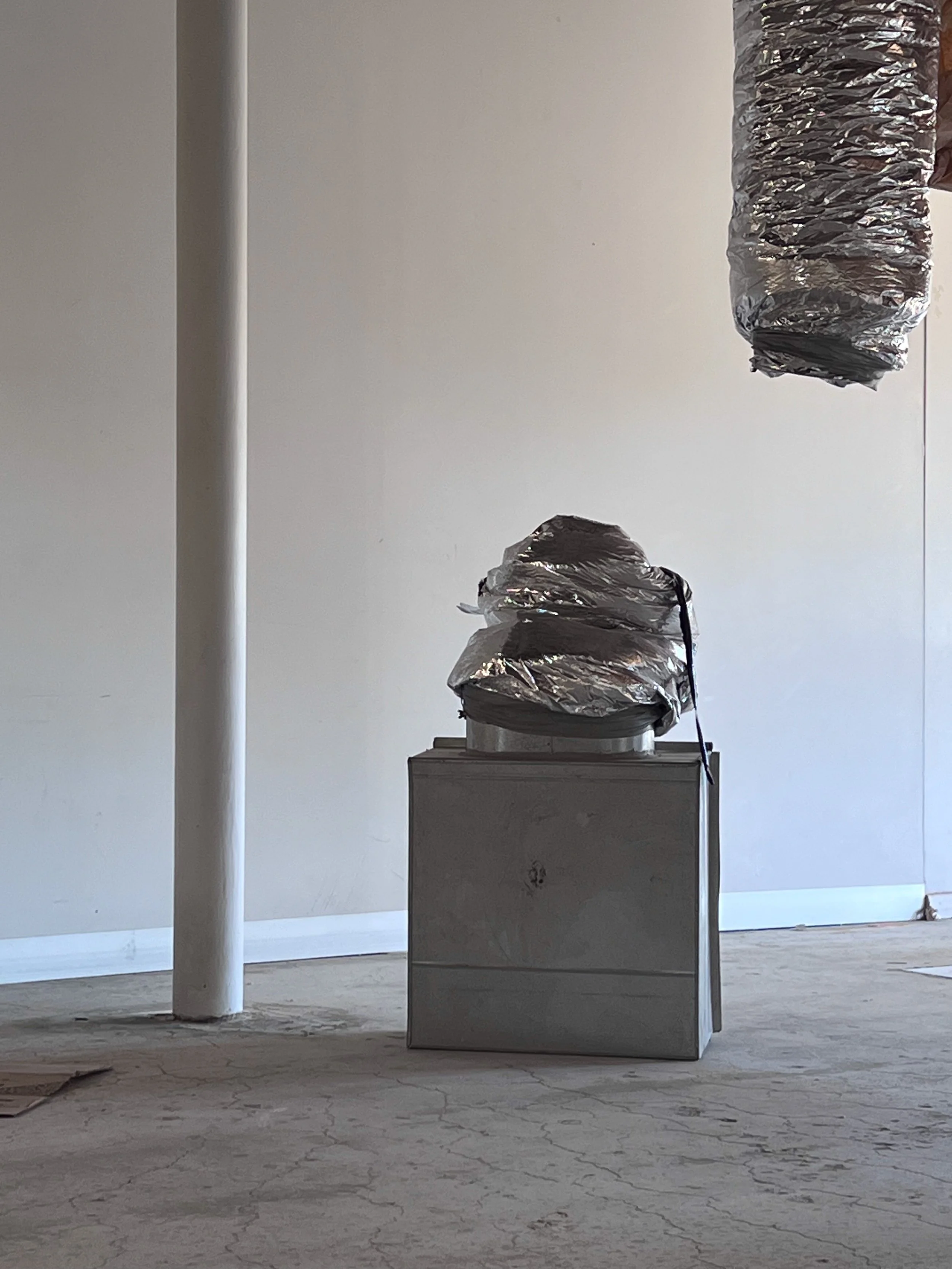 IMG_0572single  mushroom++ copy 2.jpg