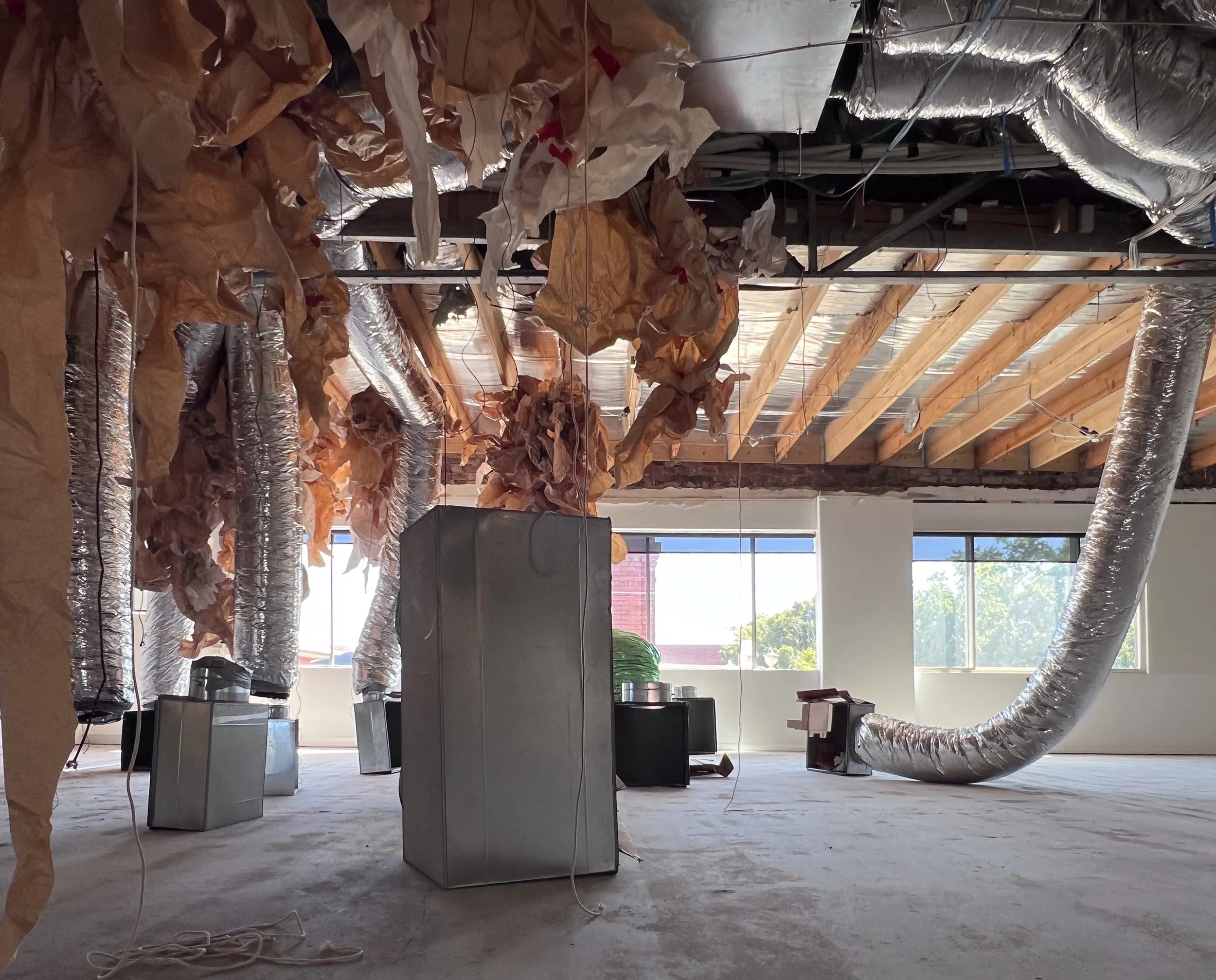 IMG_0565++ copy 2.jpg