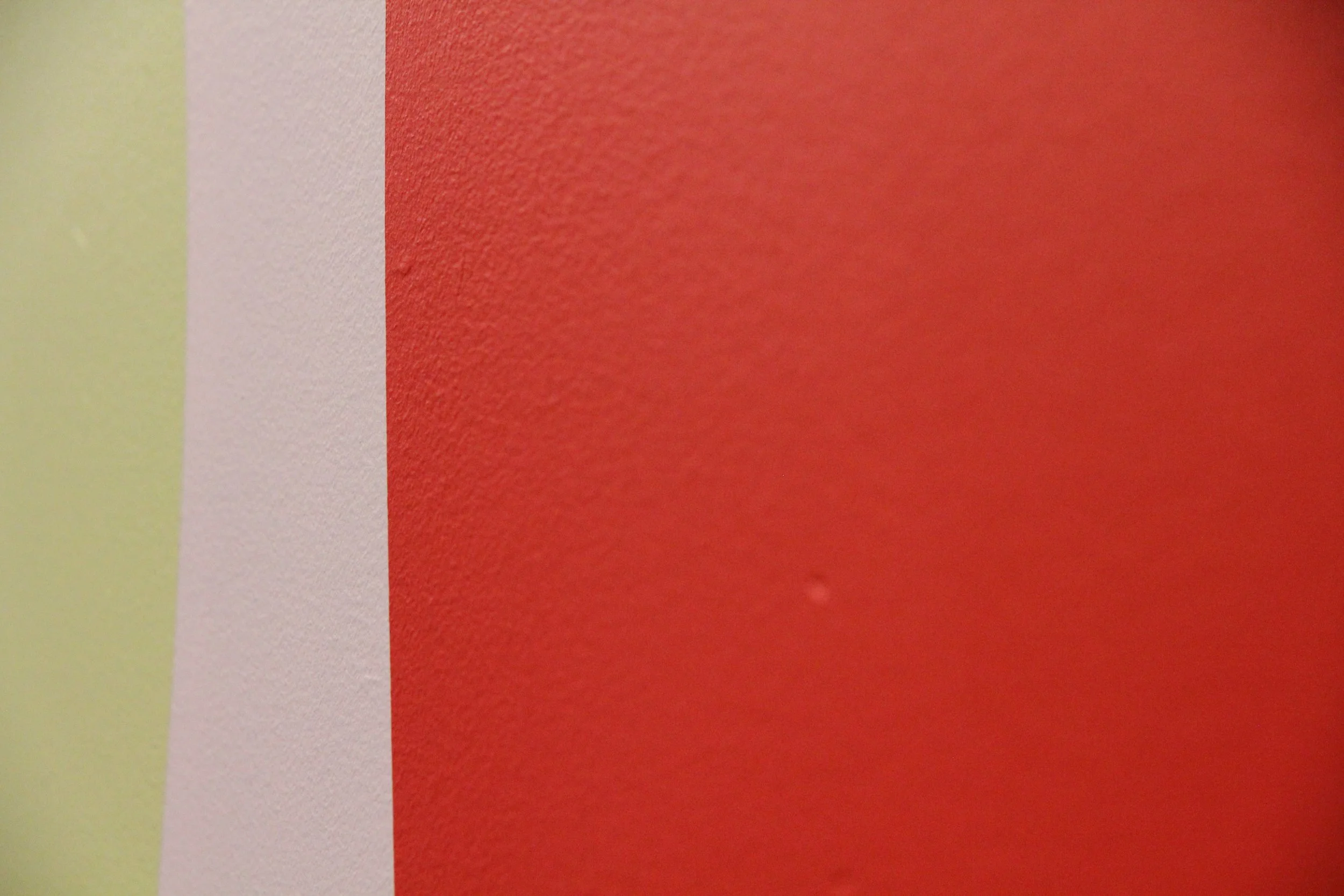   the fields.  (detail),  synthetic polymer paint, 12m x 3m. 